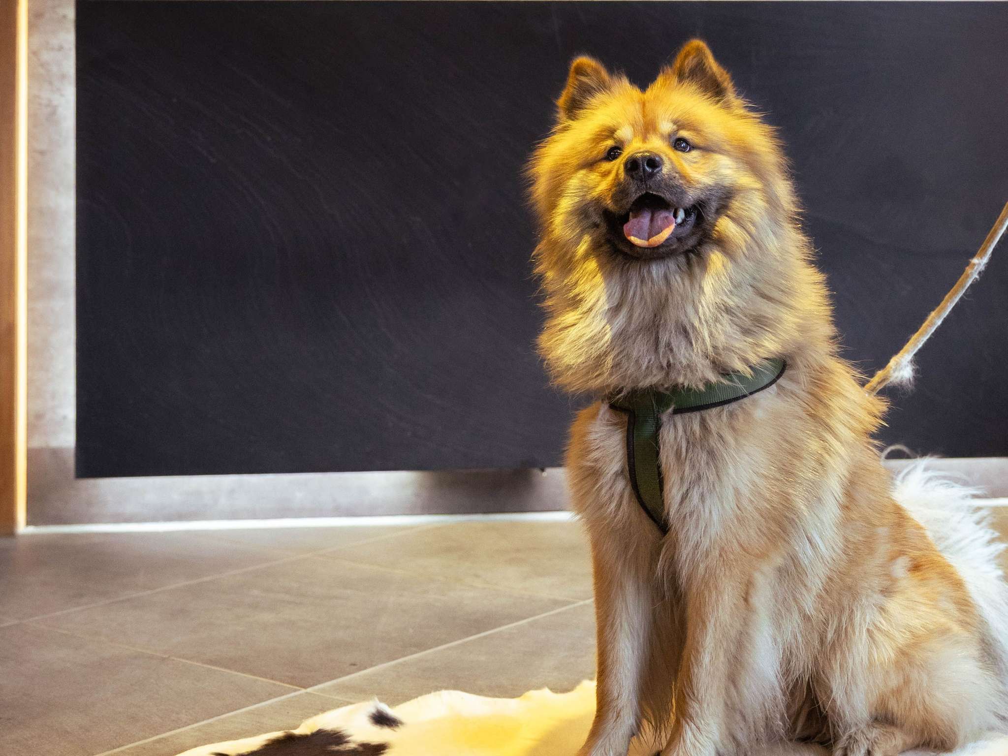 Foto - Mercure Saint-Lary