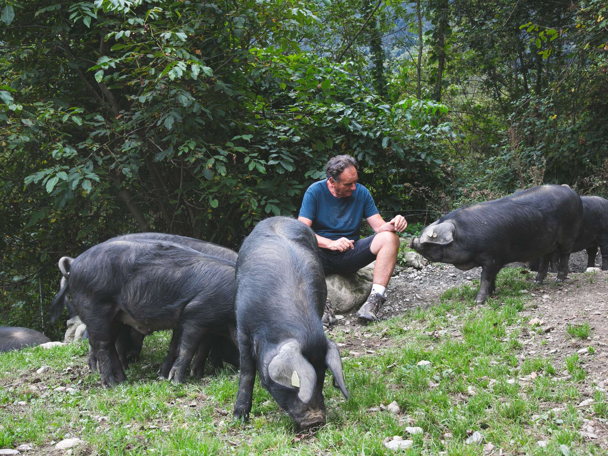 Foto - Mercure Saint-Lary