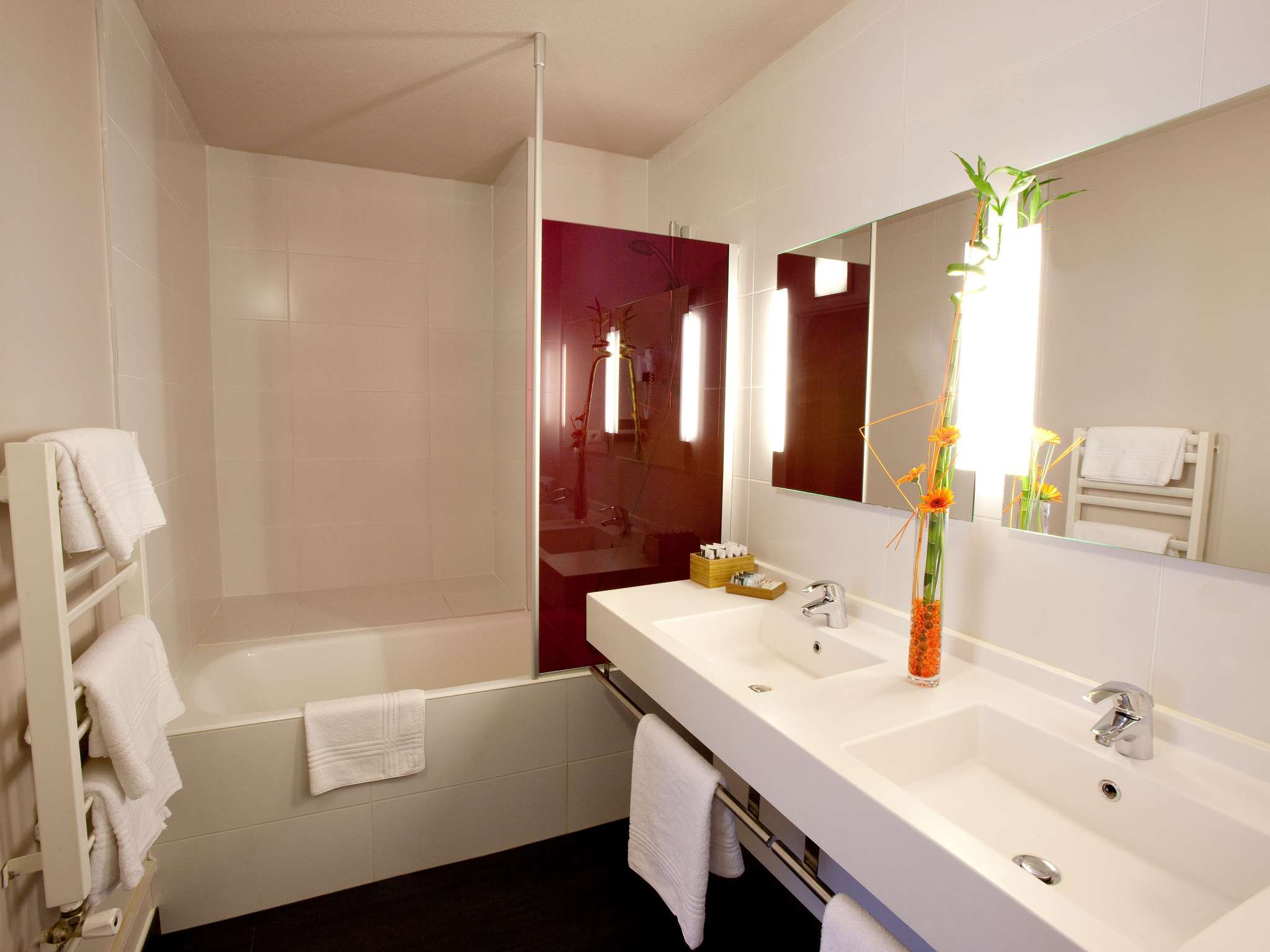 Photo - Mercure Saint-Lary