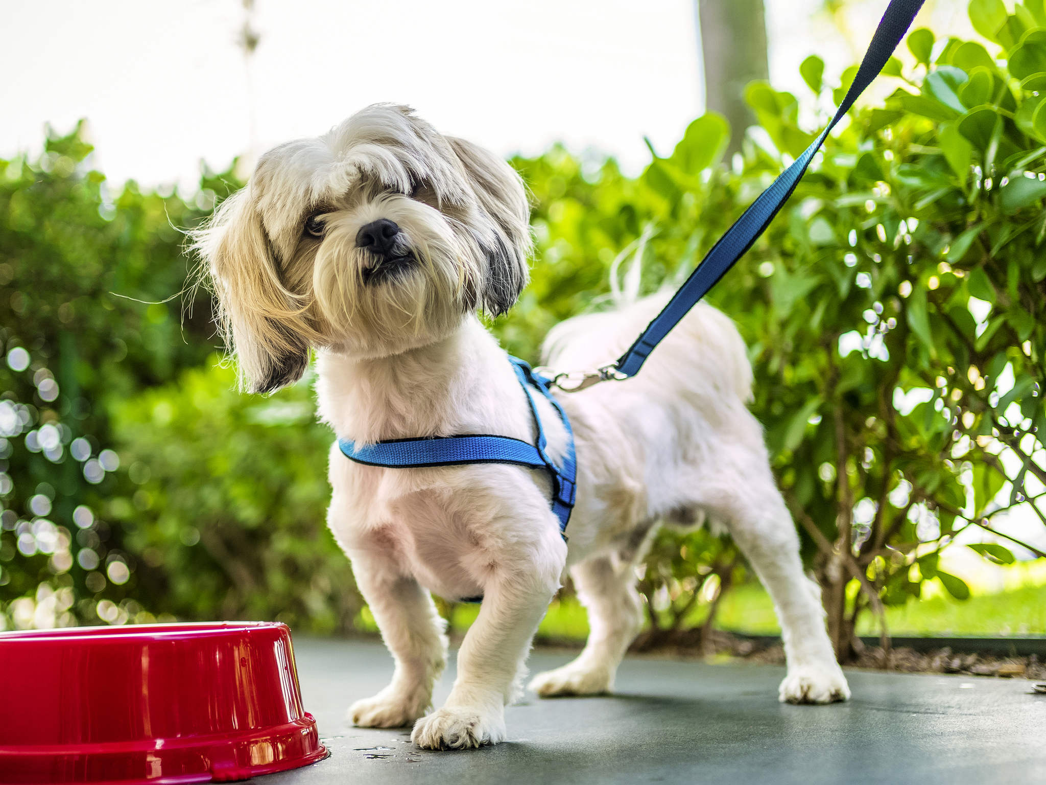 Photo - ibis Sorocaba