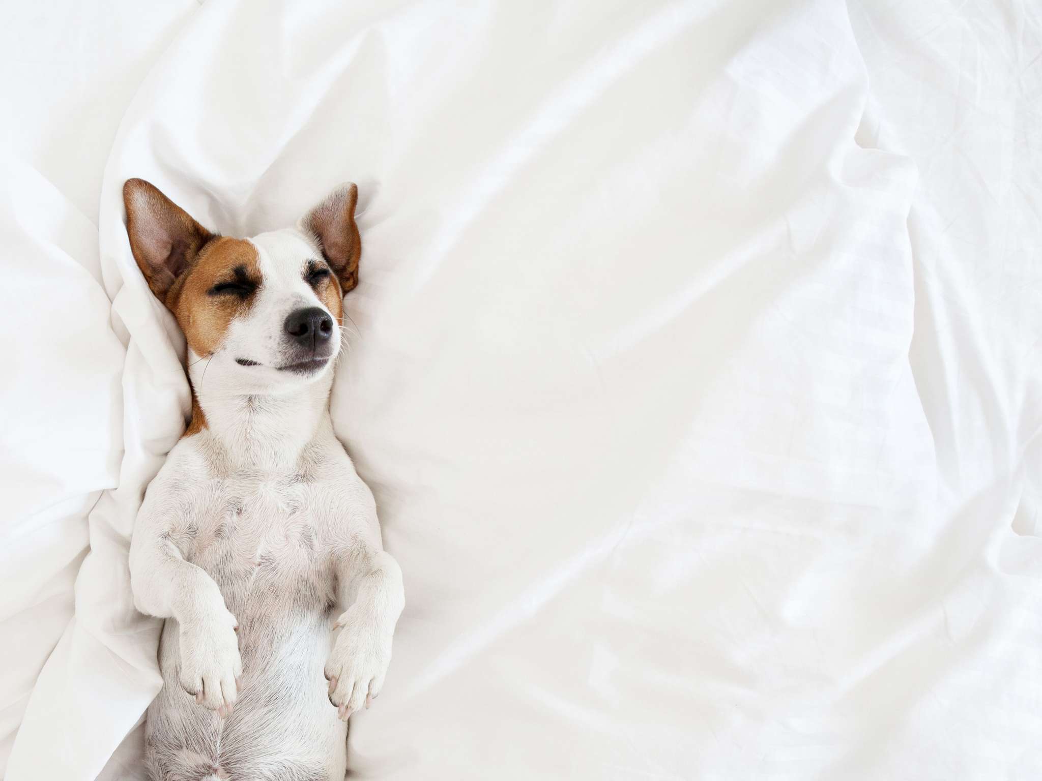 Foto - ibis Styles Aix les Bains Domaine de Marlioz