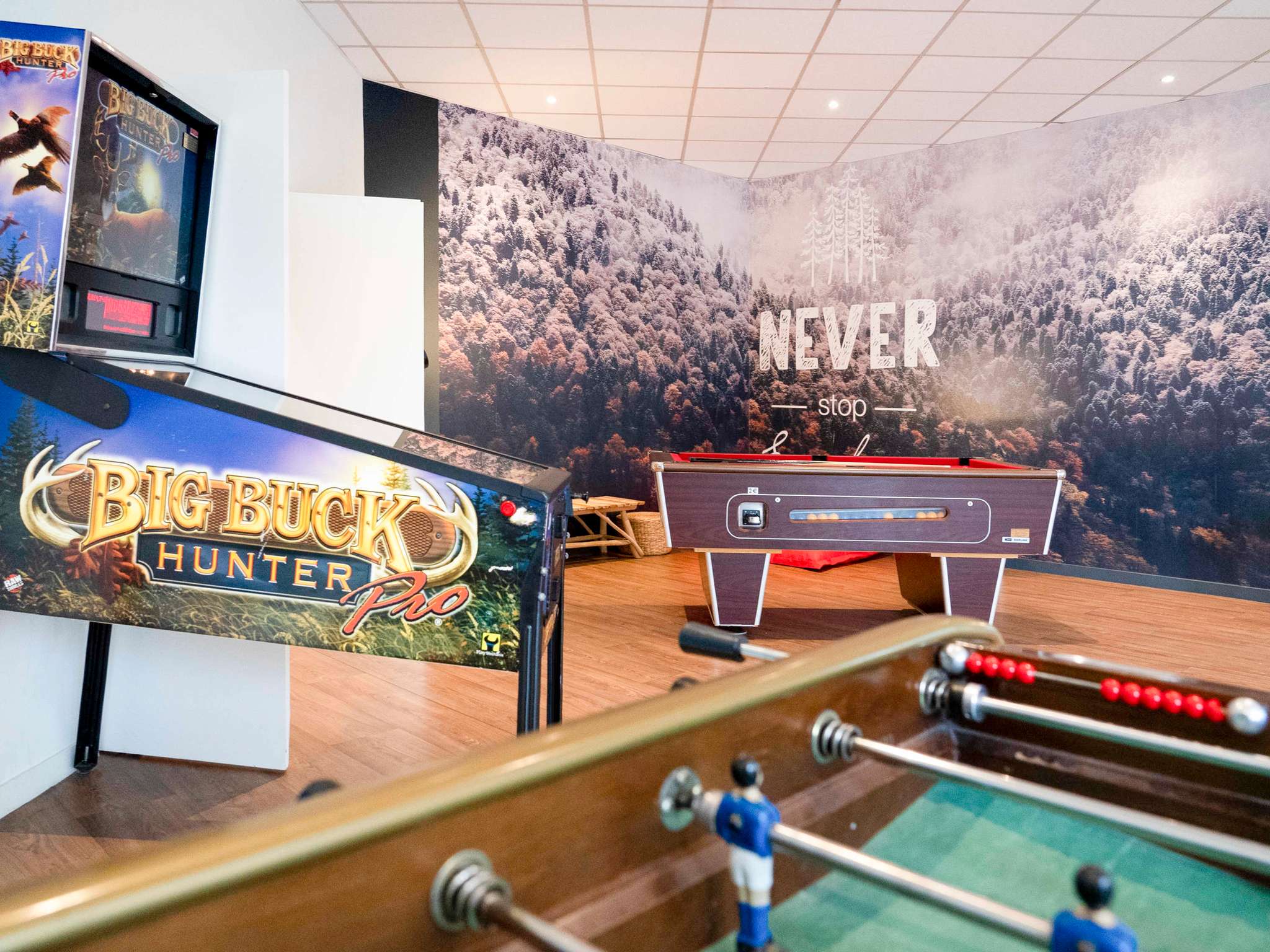 Foto - ibis Styles Aix les Bains Domaine de Marlioz