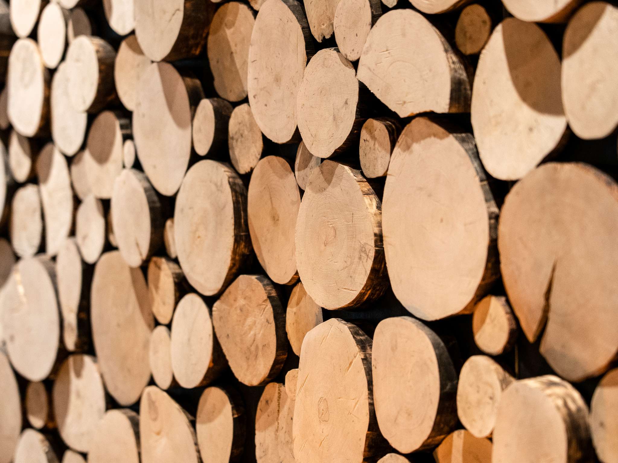 Foto - ibis Styles Aix les Bains Domaine de Marlioz