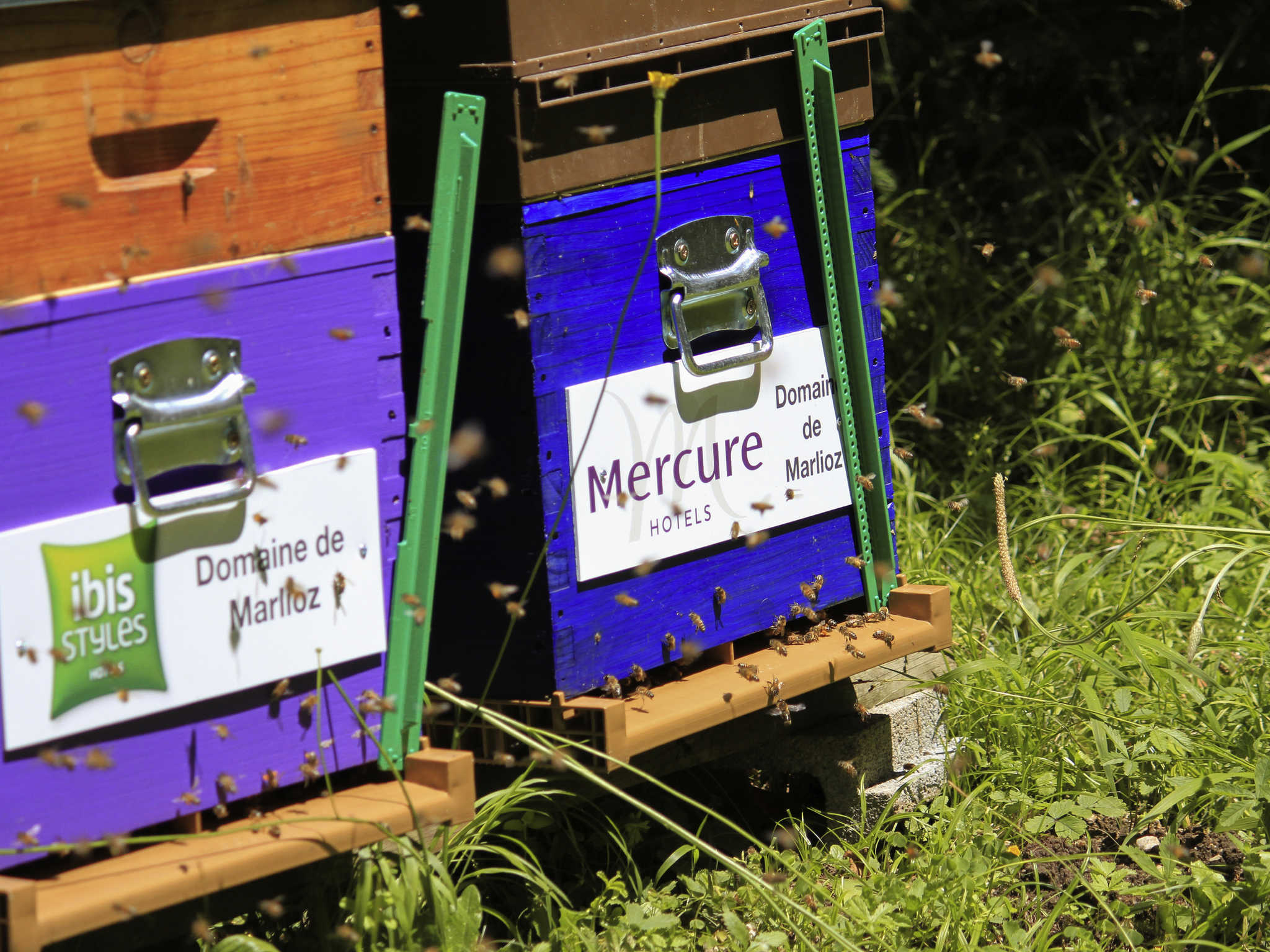 Foto - ibis Styles Aix les Bains Domaine de Marlioz