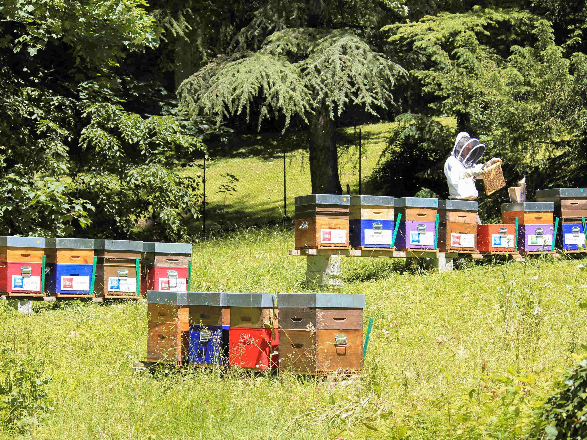 Foto - ibis Styles Aix les Bains Domaine de Marlioz