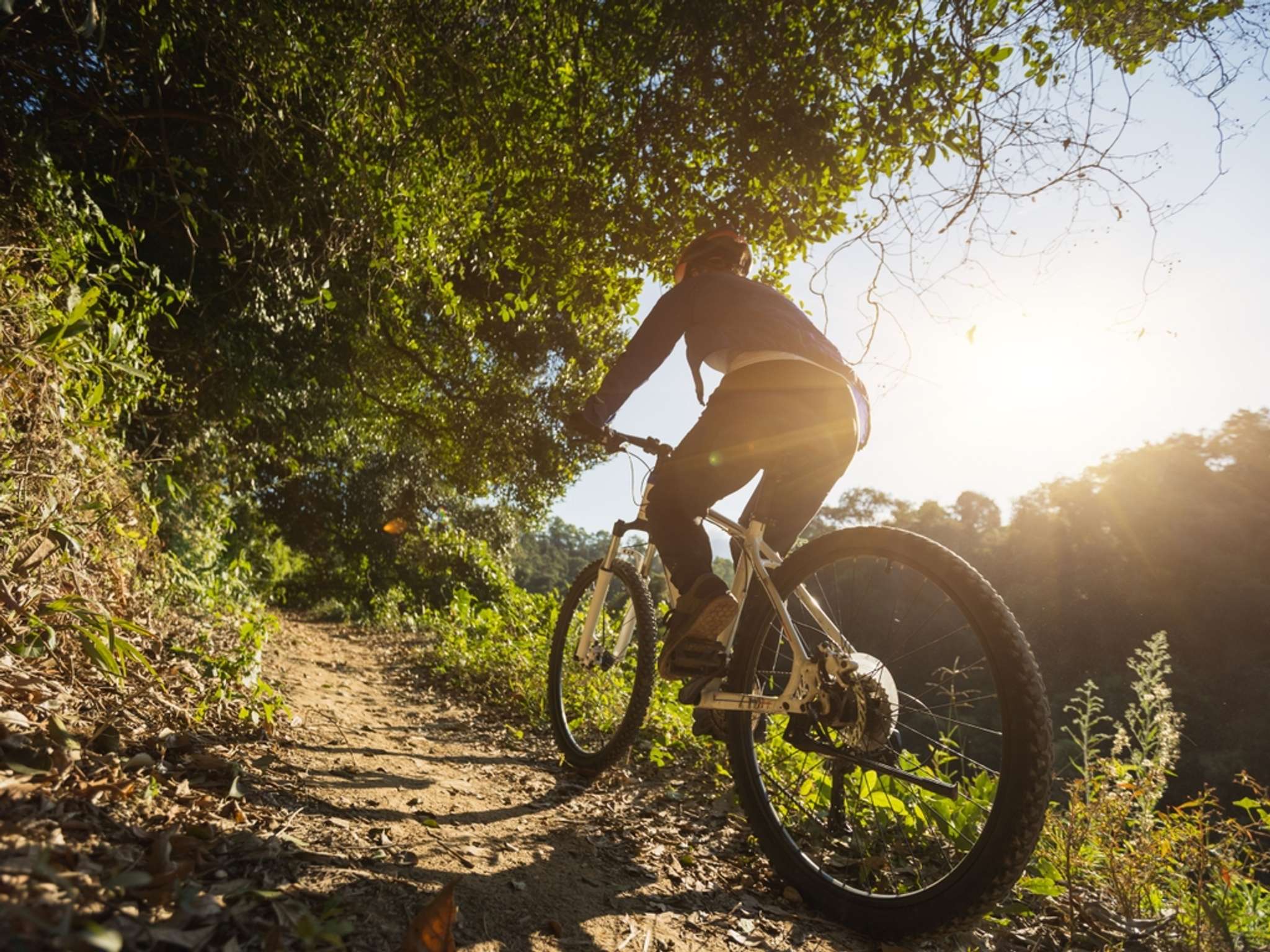 Foto - ibis Styles Aix les Bains Domaine de Marlioz