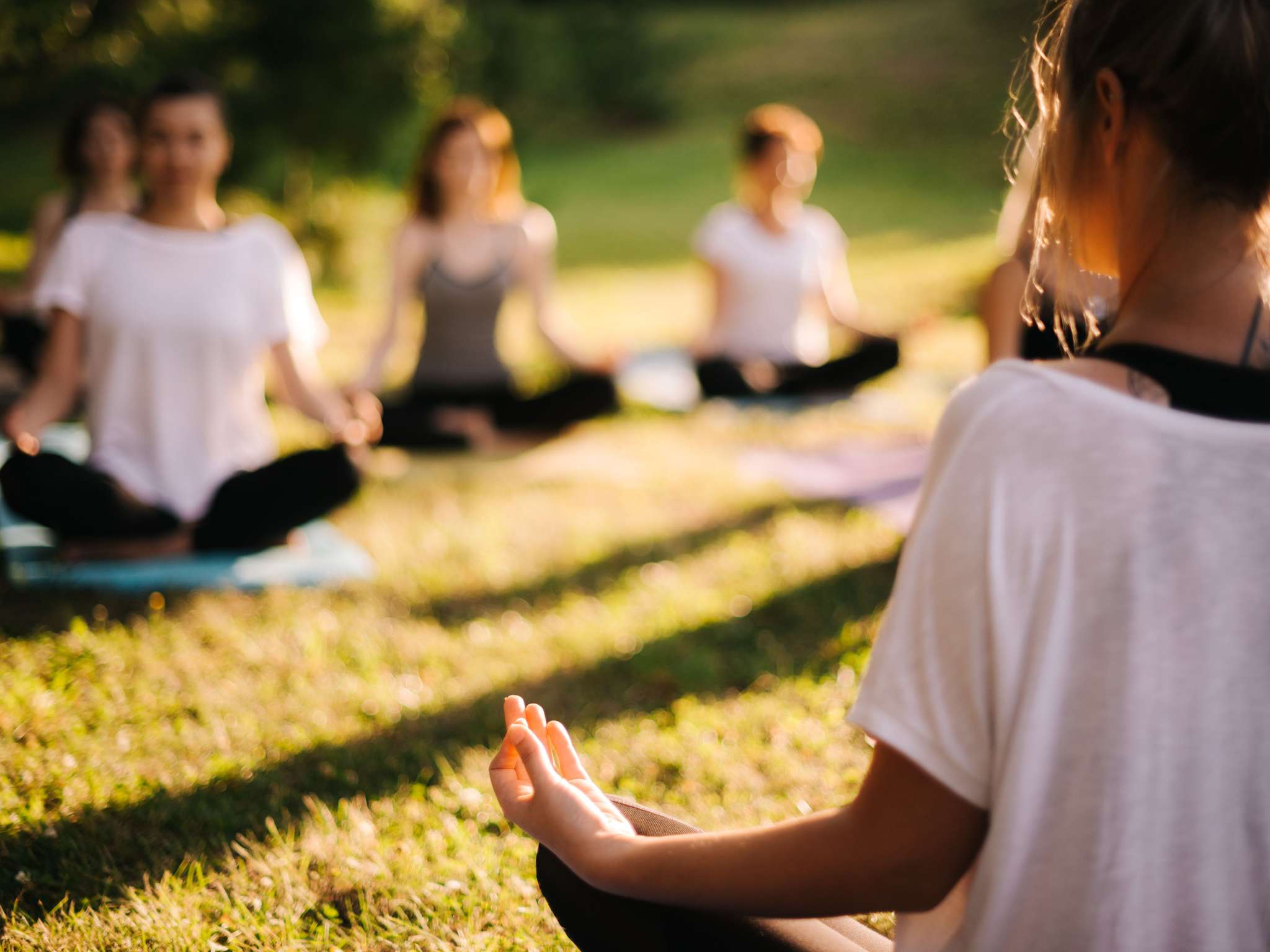 Foto - ibis Styles Aix les Bains Domaine de Marlioz