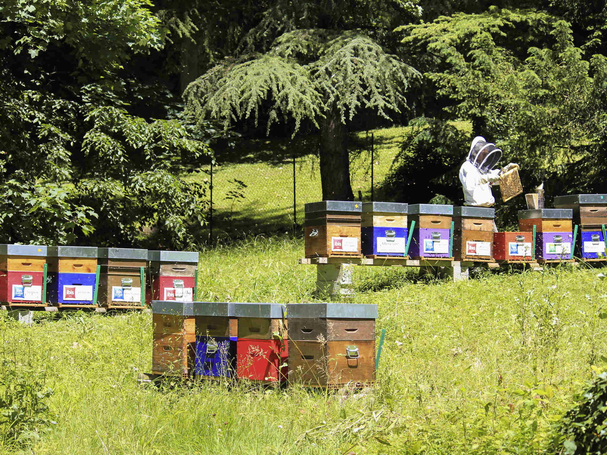 Photo - Mercure Aix-les-Bains Domaine de Marlioz Hôtel & Spa