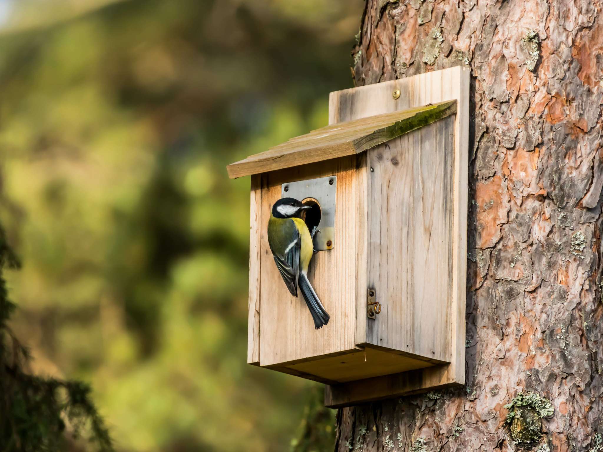 Photo - Mercure Aix-les-Bains Domaine de Marlioz Hôtel & Spa