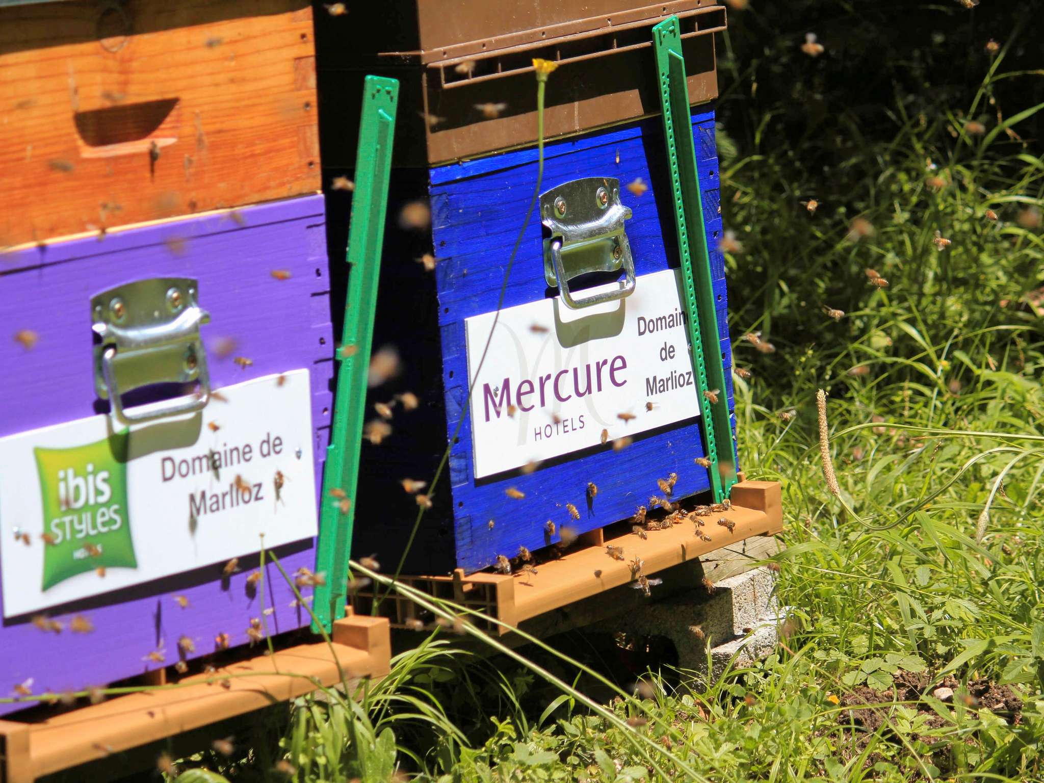 Photo - Mercure Aix-les-Bains Domaine de Marlioz Hôtel & Spa