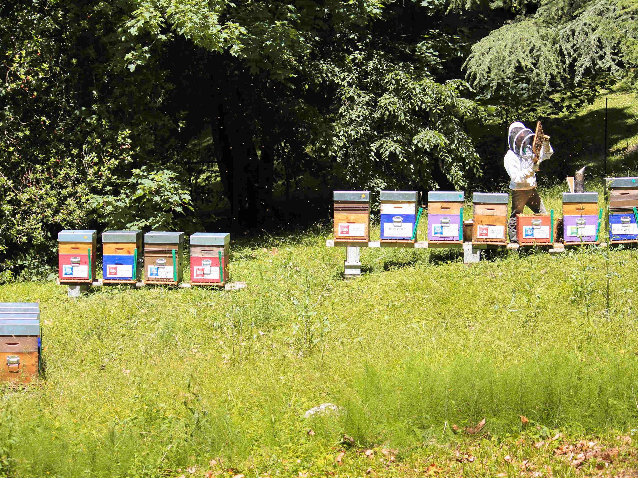 Photo - Mercure Aix-les-Bains Domaine de Marlioz Hôtel & Spa