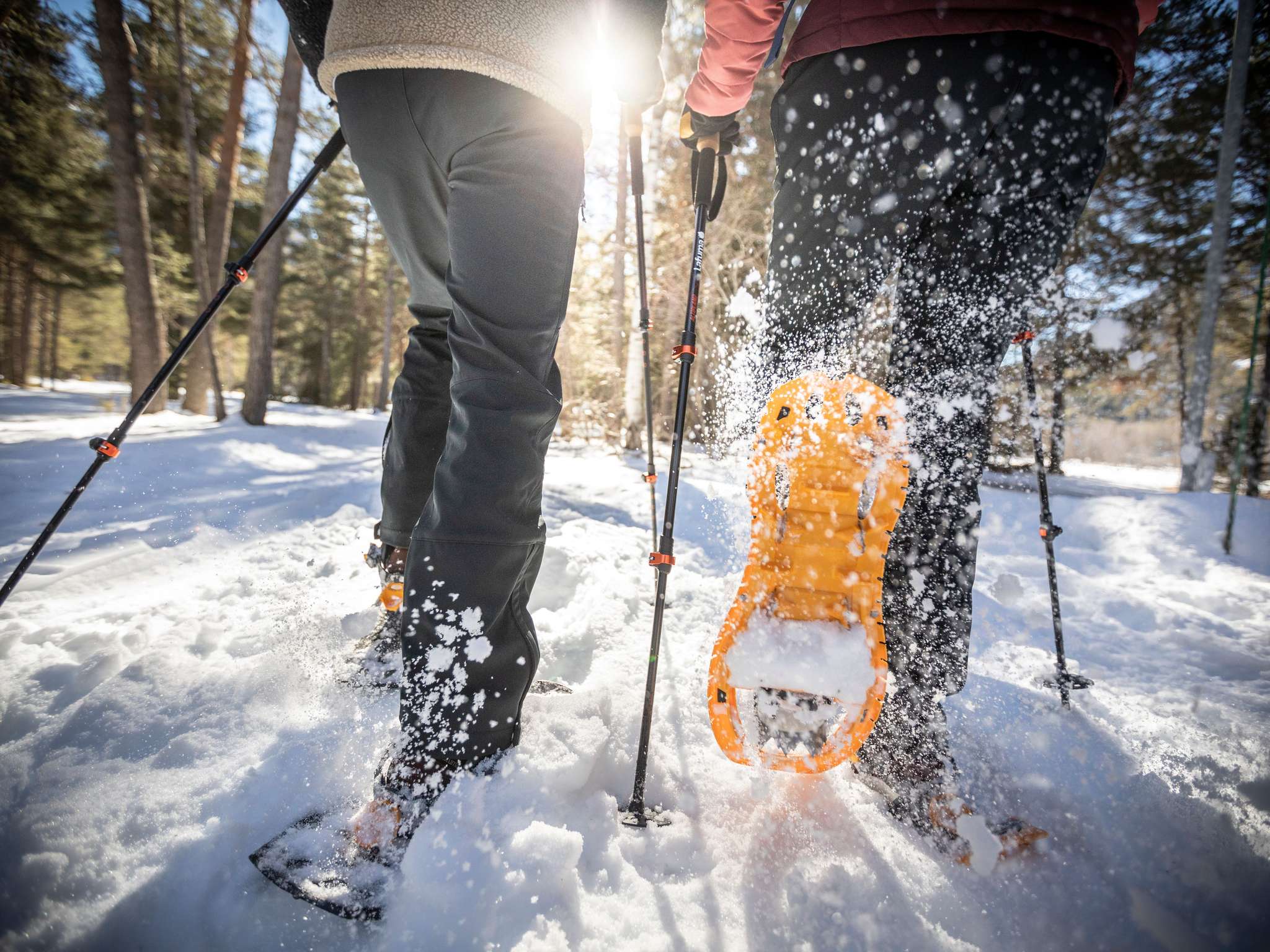 Photo - Mercure Aix-les-Bains Domaine de Marlioz Hôtel & Spa