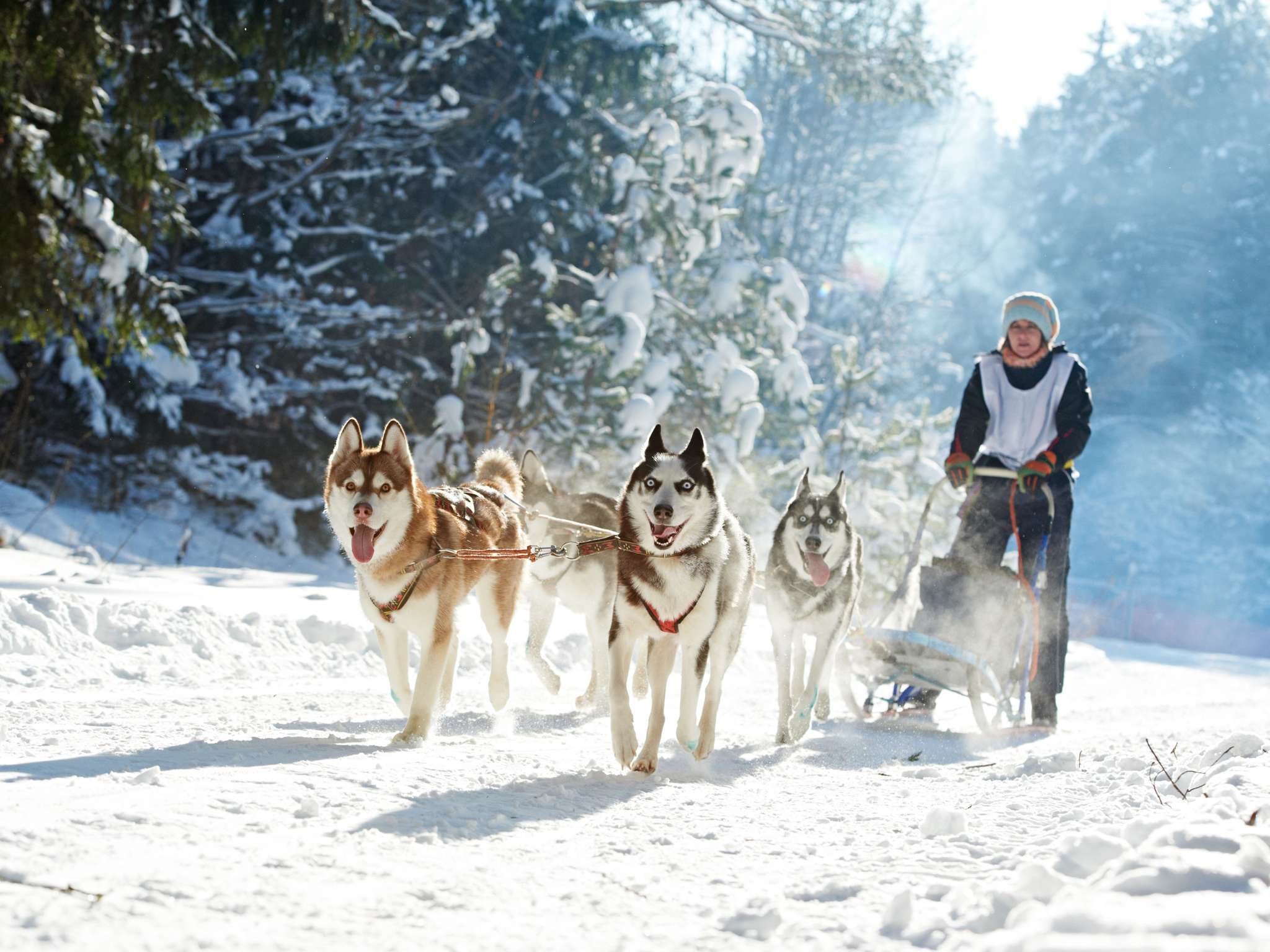 Photo - Mercure Aix-les-Bains Domaine de Marlioz Hôtel & Spa