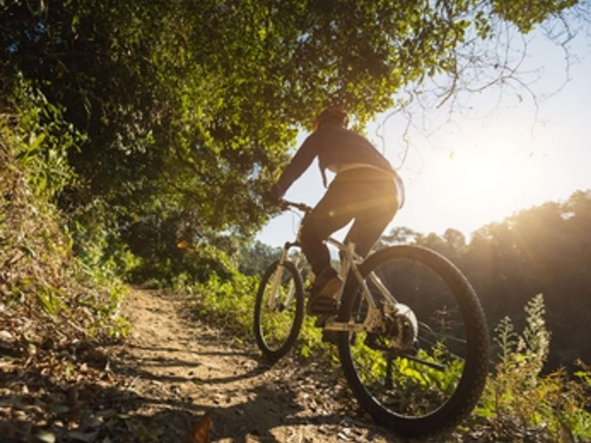 Photo - Mercure Aix-les-Bains Domaine de Marlioz Hôtel & Spa