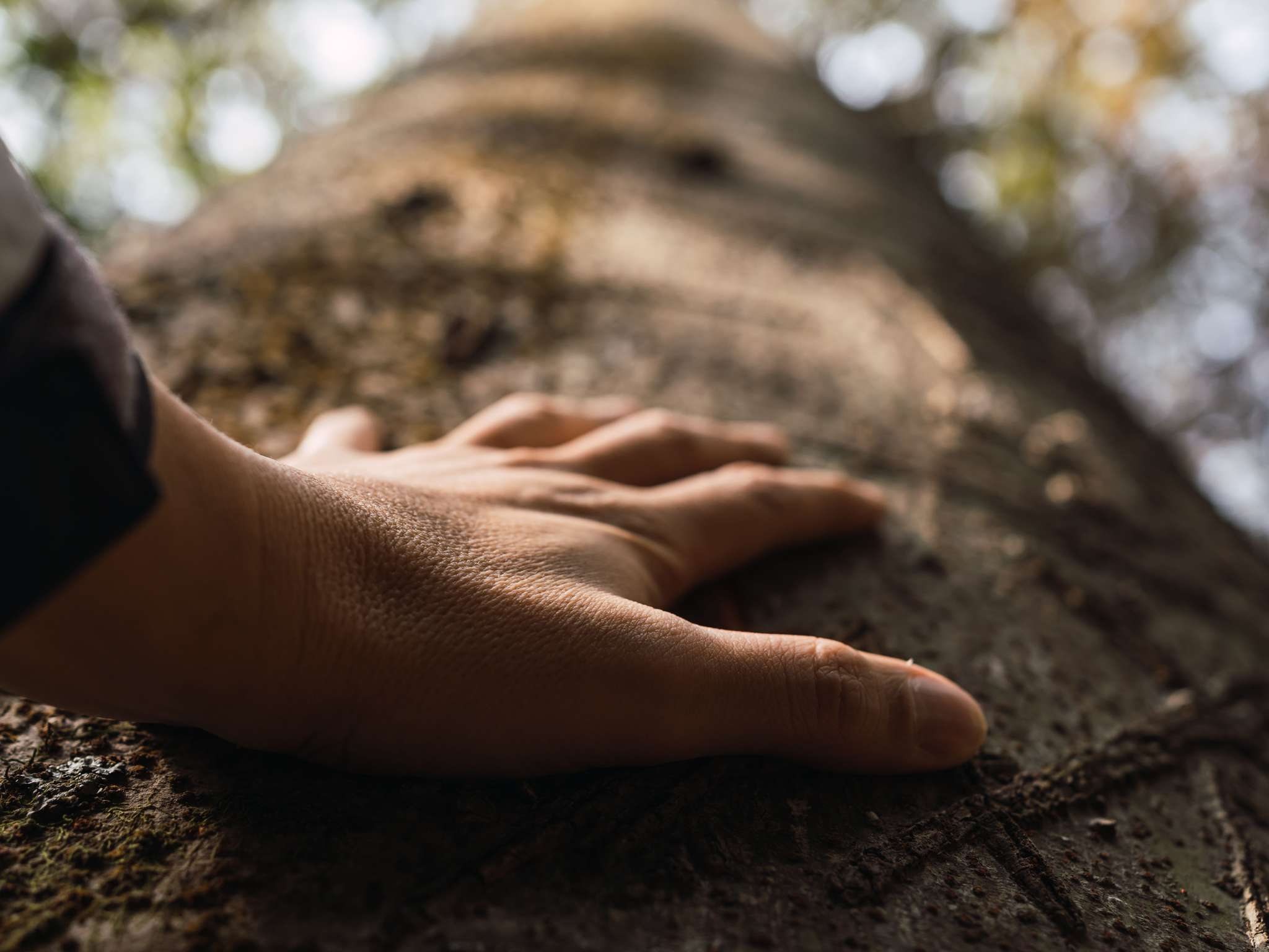 Photo - Mercure Aix-les-Bains Domaine de Marlioz Hôtel & Spa