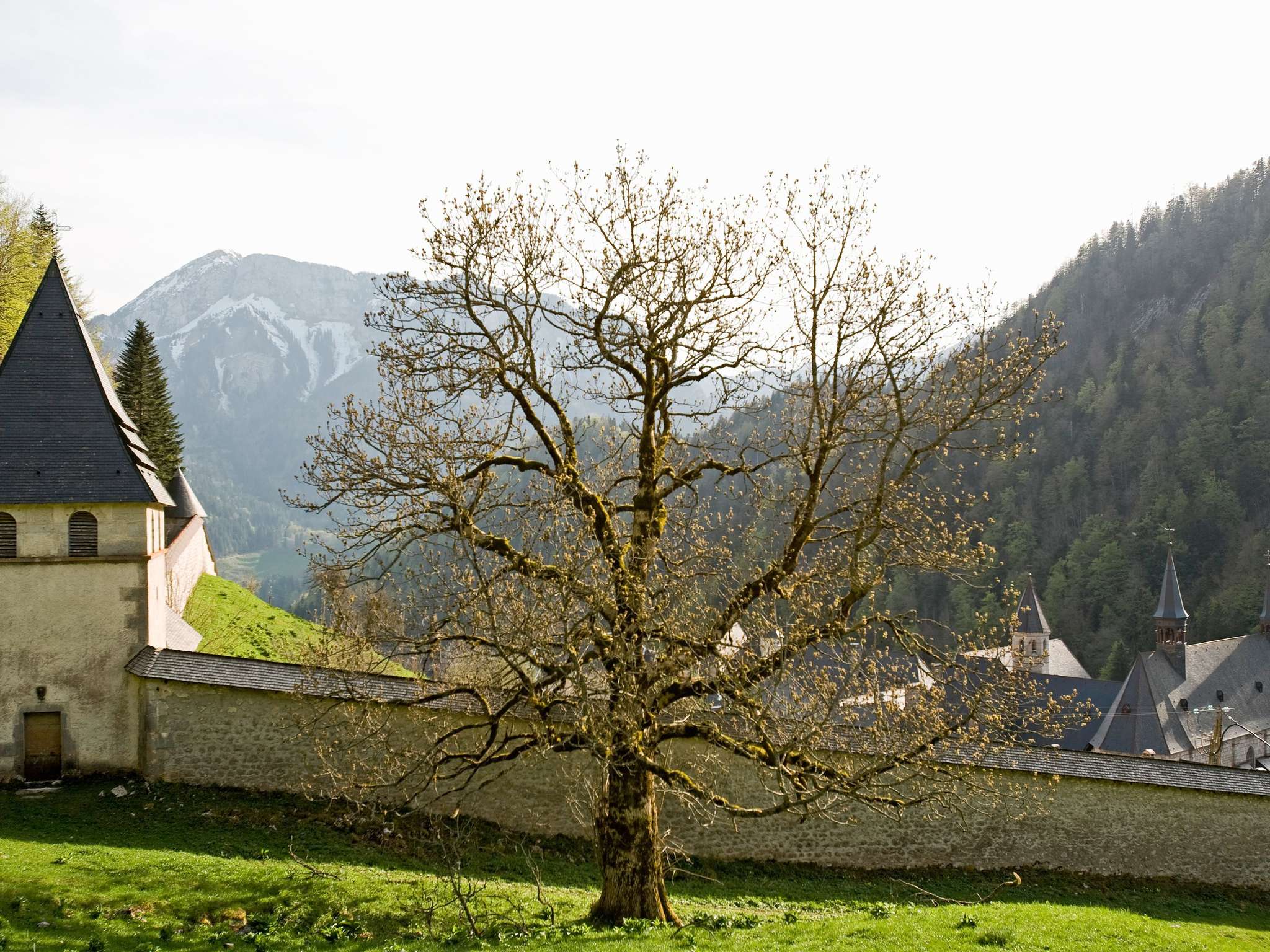 Foto - Mercure Grenoble Meylan