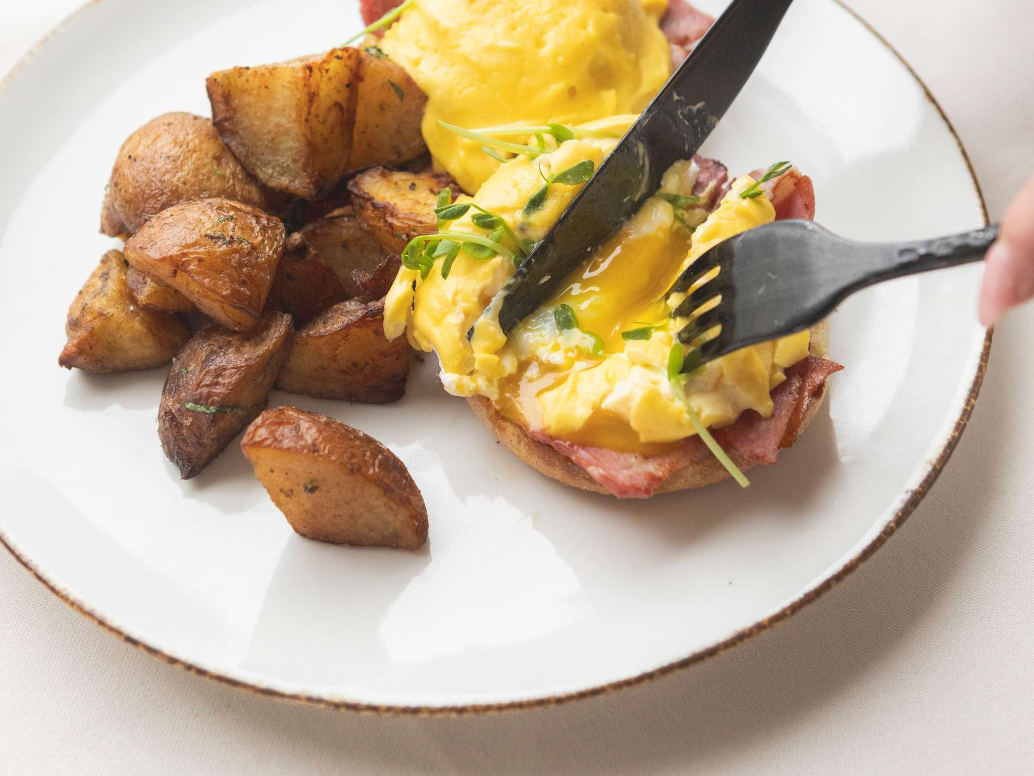 Foto - Sofitel Chicago Magnificent Mile