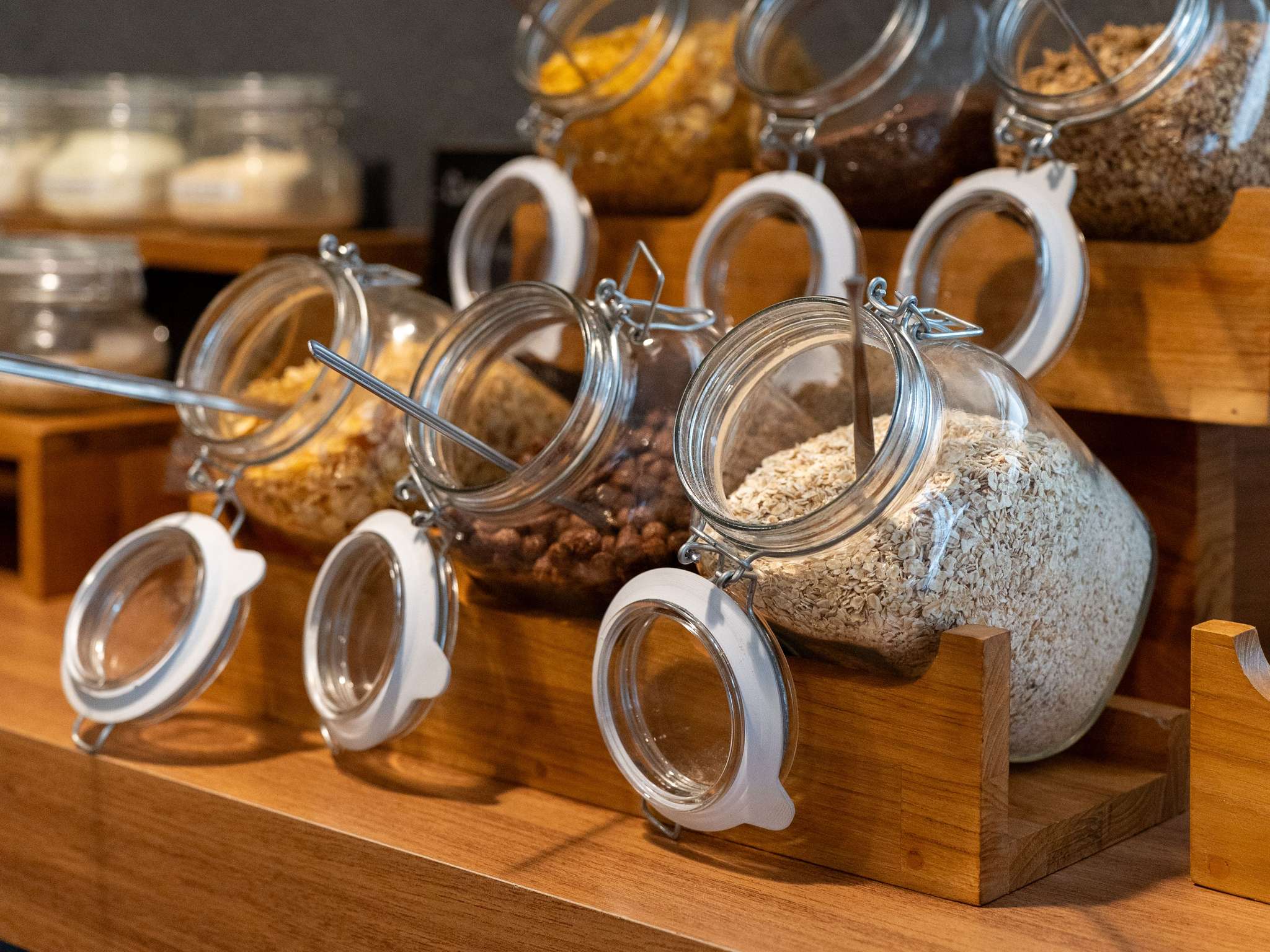 Foto - ibis Paulinia