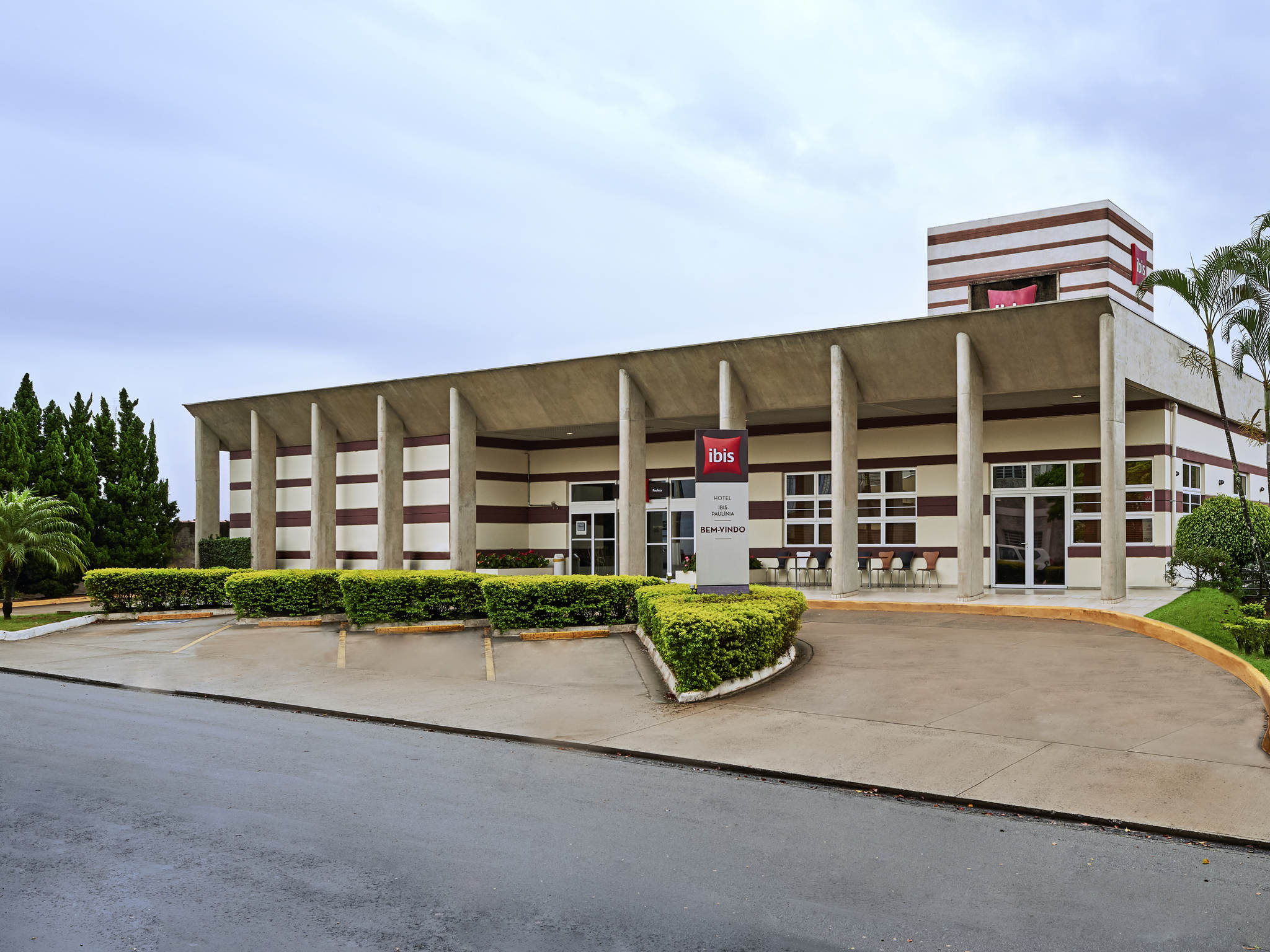 Foto - ibis Paulinia