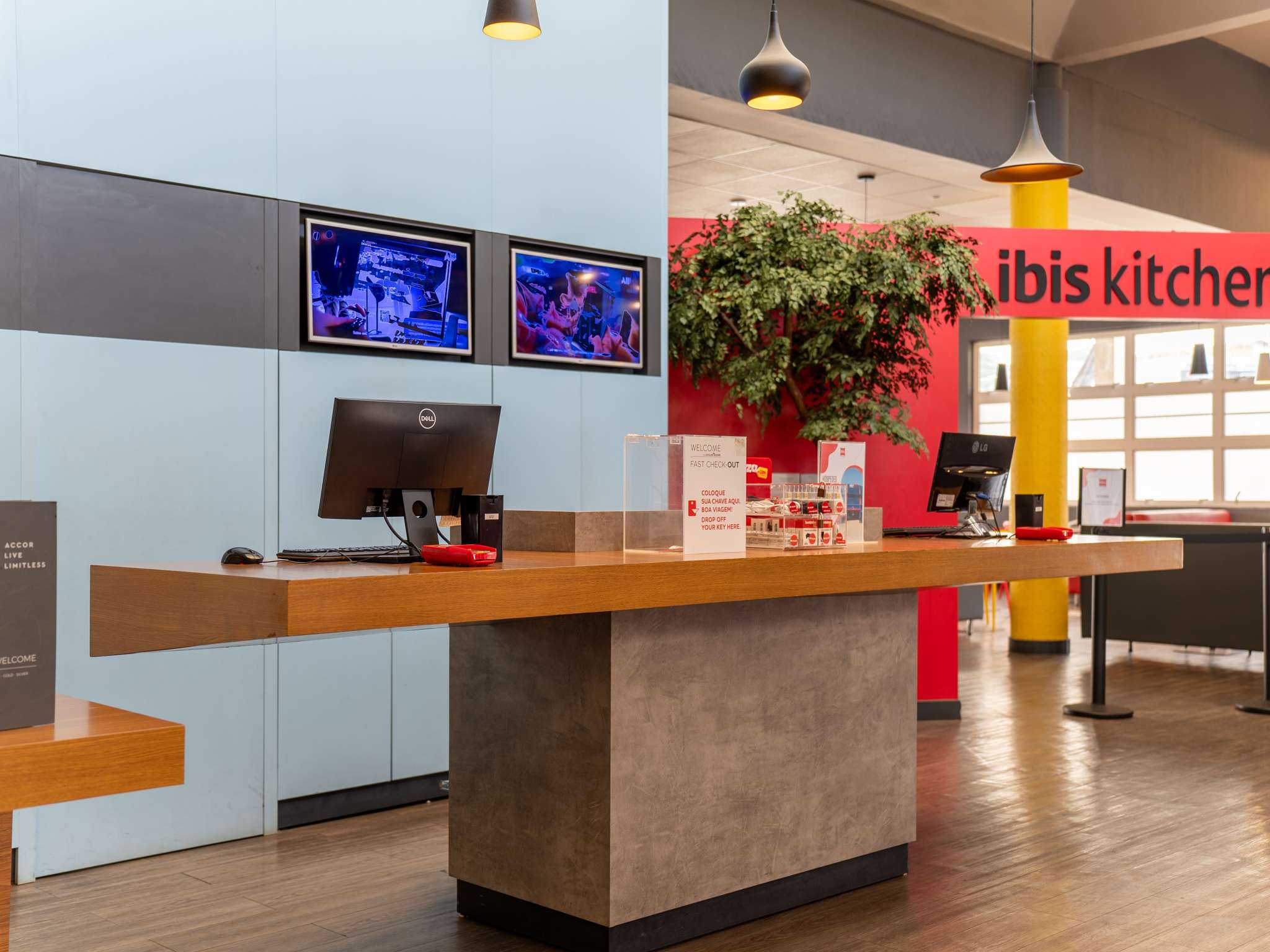 Foto - ibis Paulinia