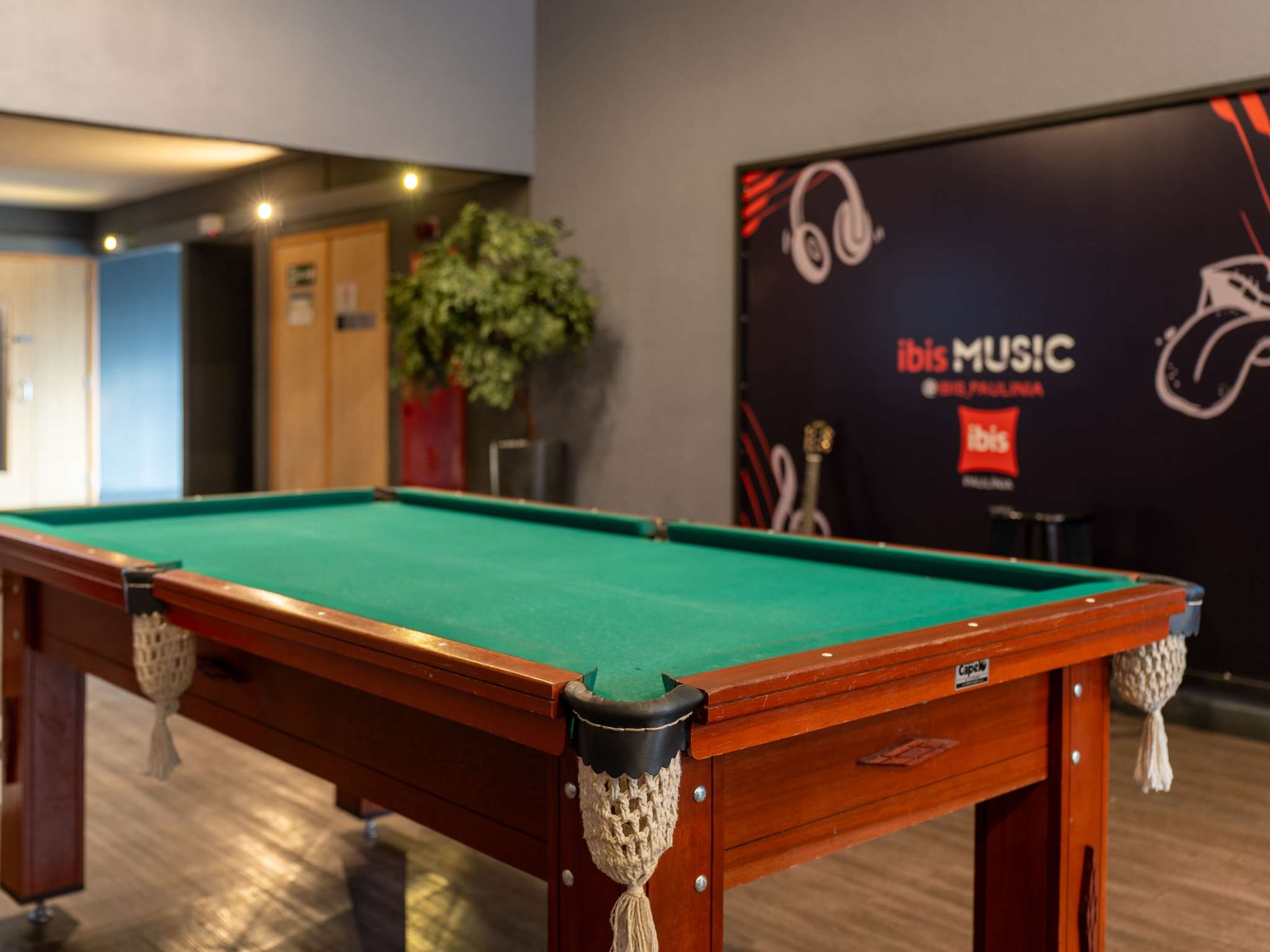 Foto - ibis Paulinia