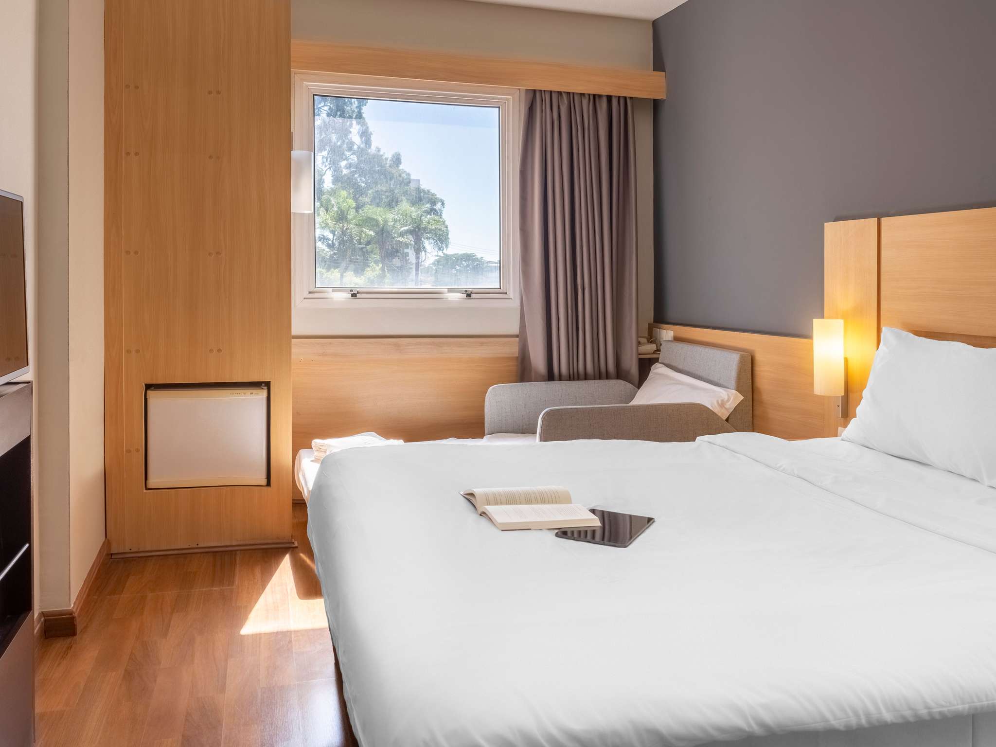 Foto - ibis Paulinia