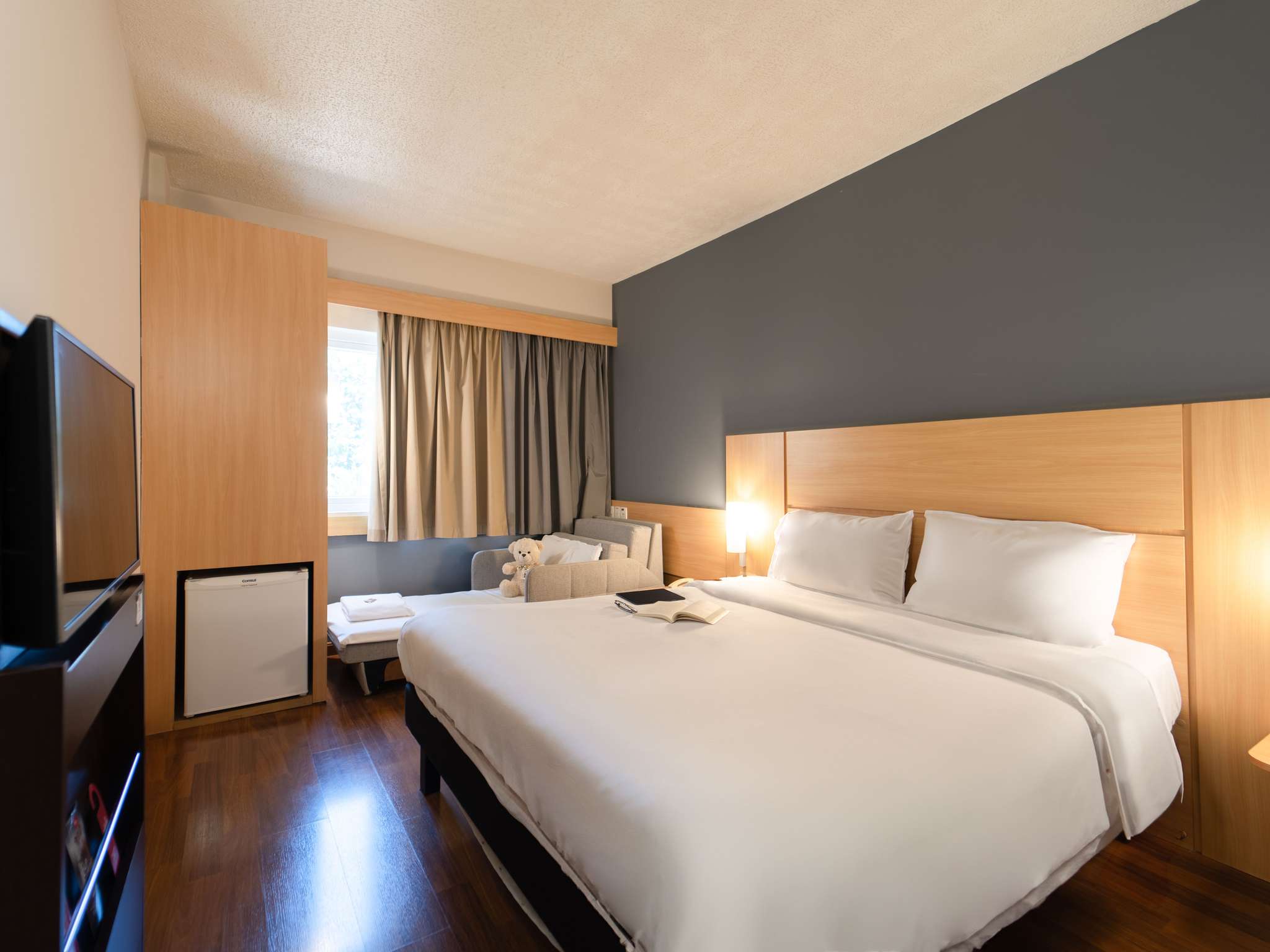 Foto - ibis Paulinia