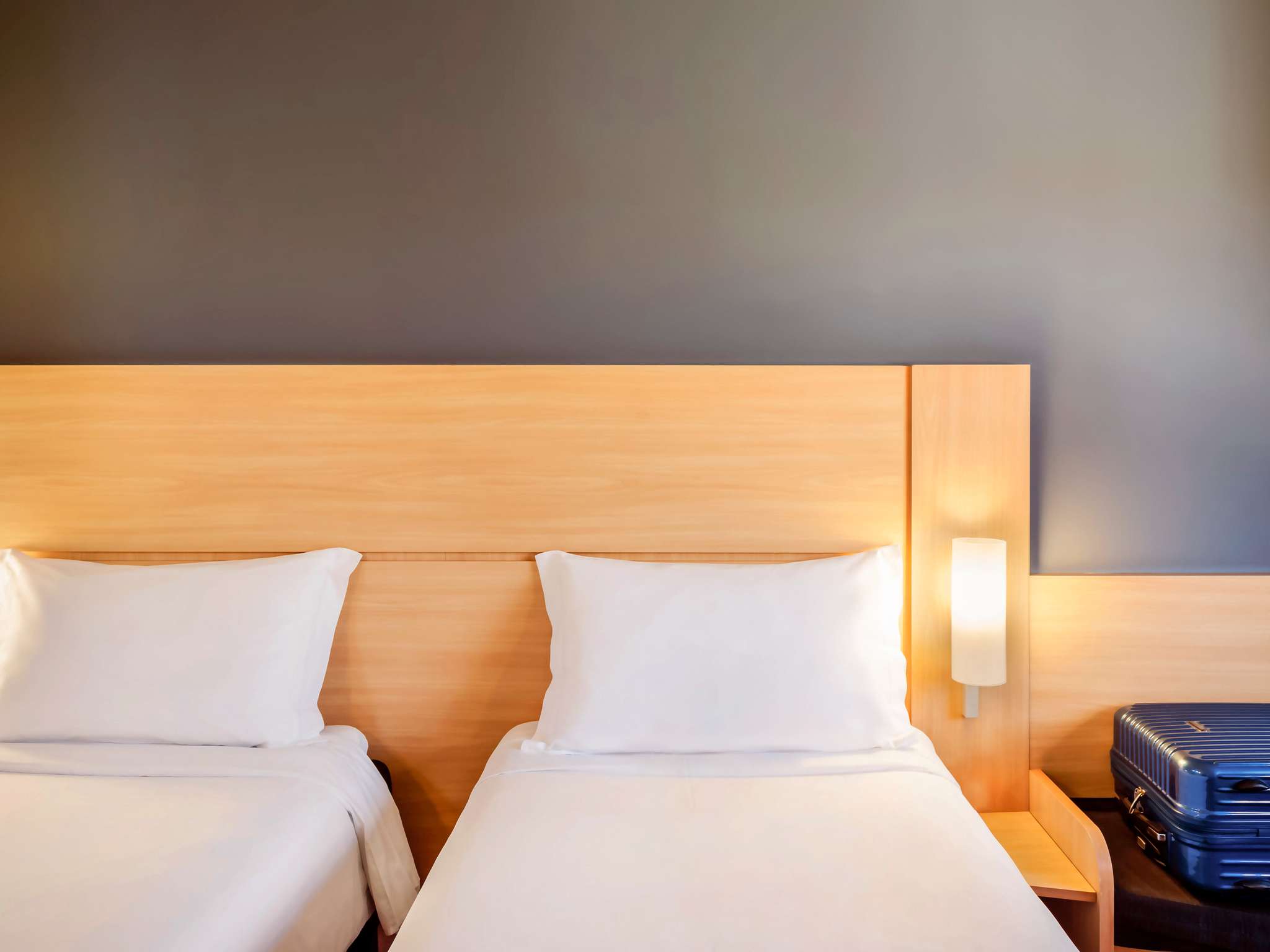 Foto - ibis Paulinia