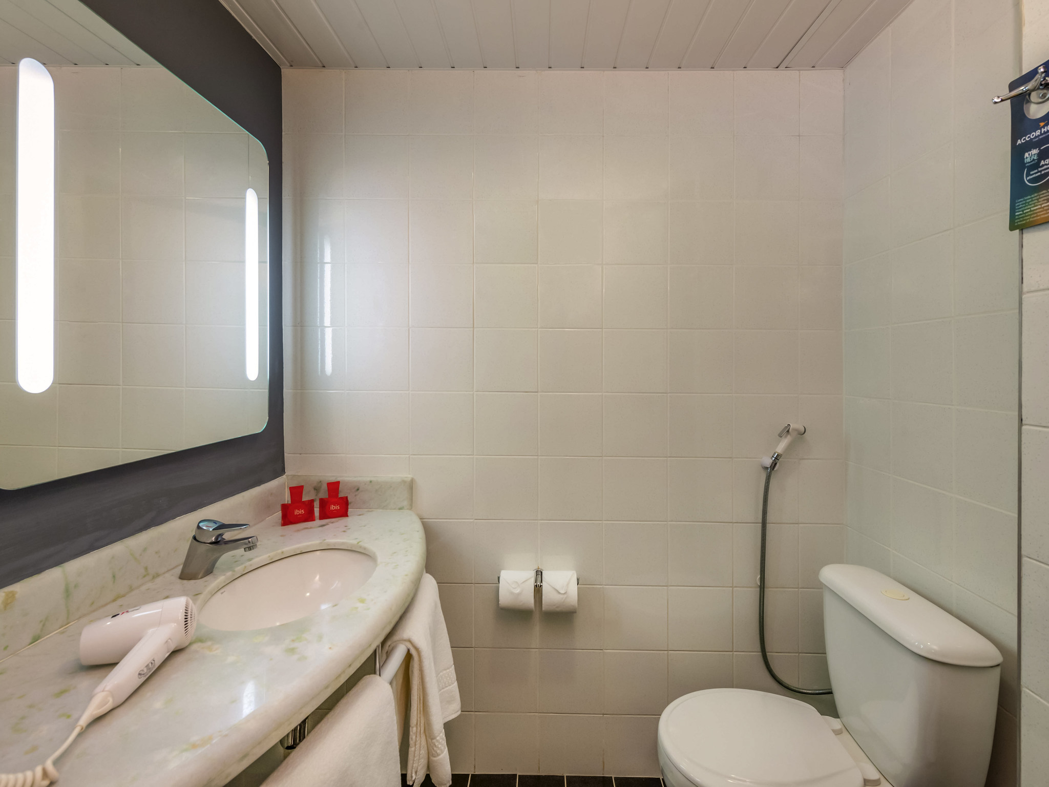 Foto - ibis Paulinia