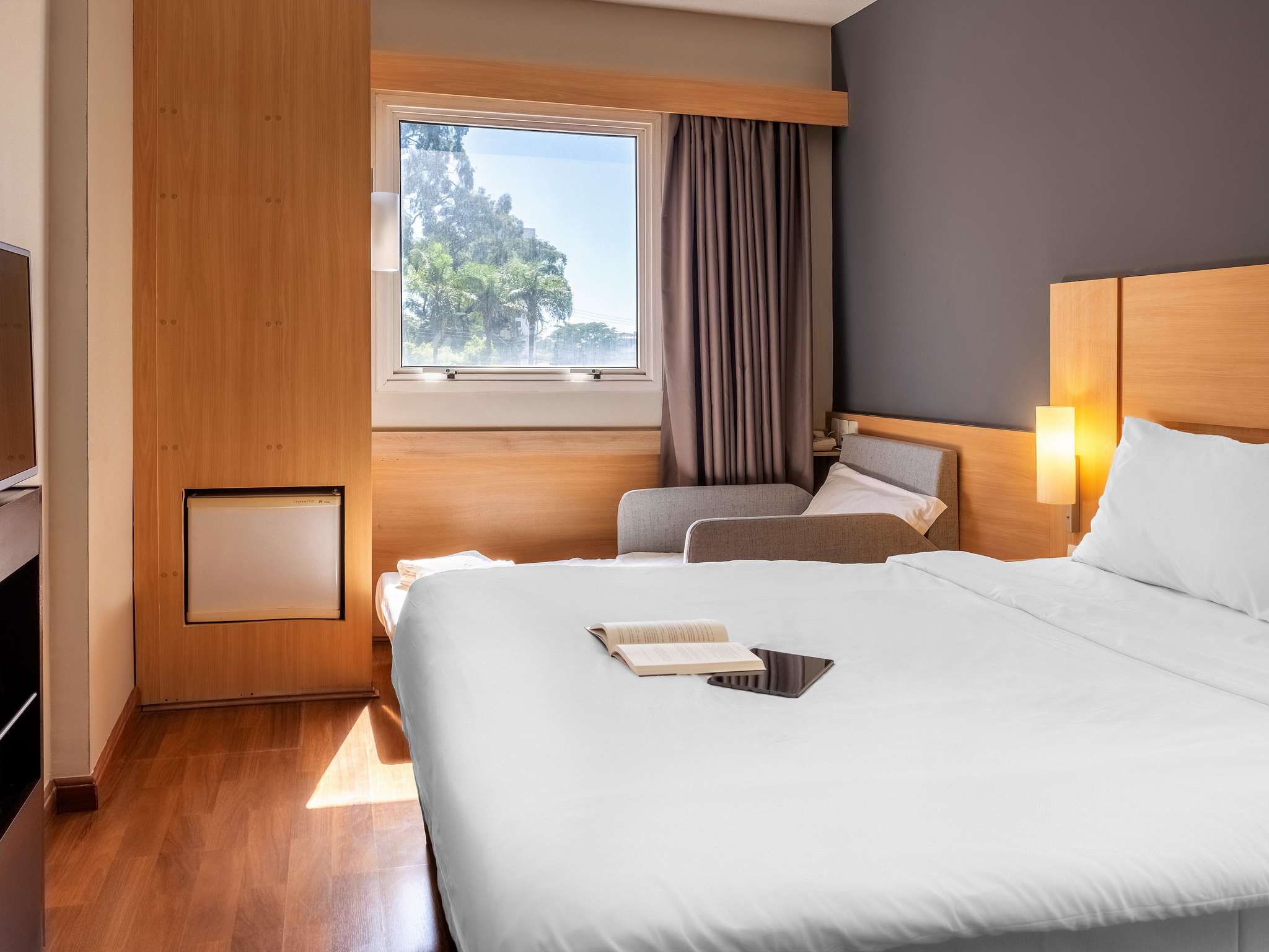 Foto - ibis Paulinia