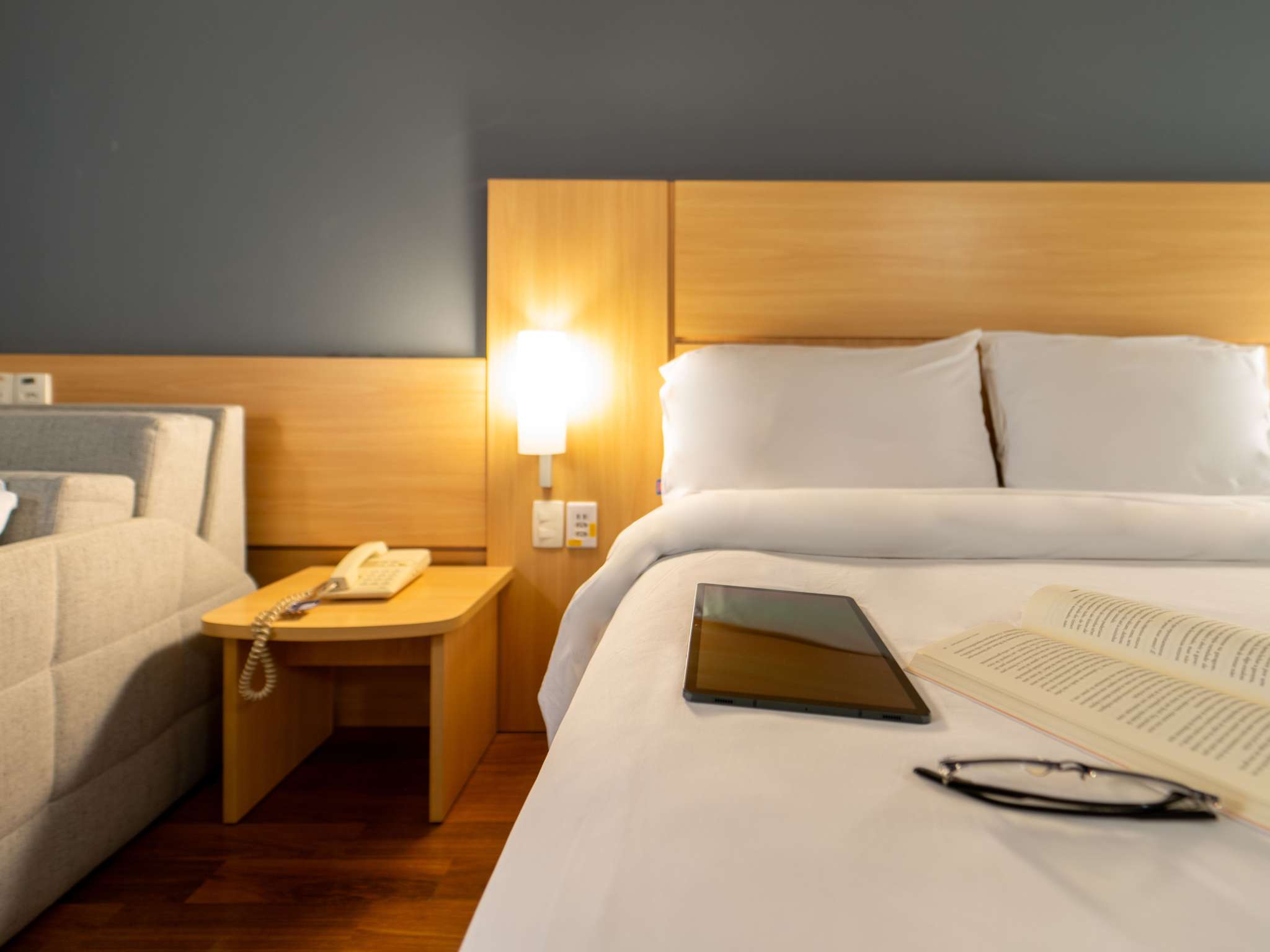 Foto - ibis Paulinia