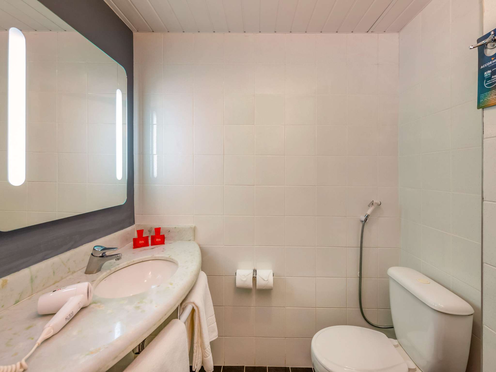 Foto - ibis Paulinia