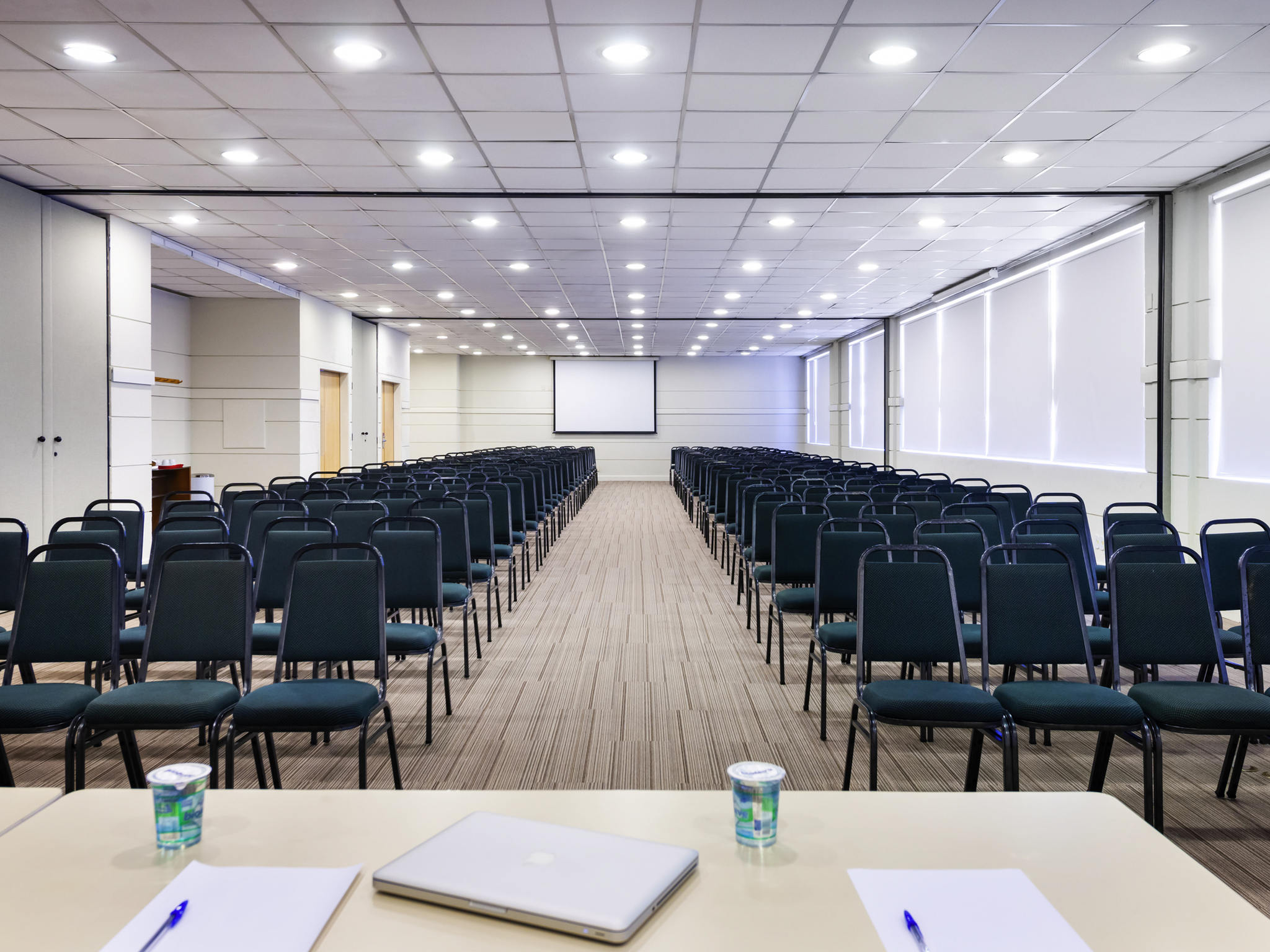 Foto - ibis Paulinia