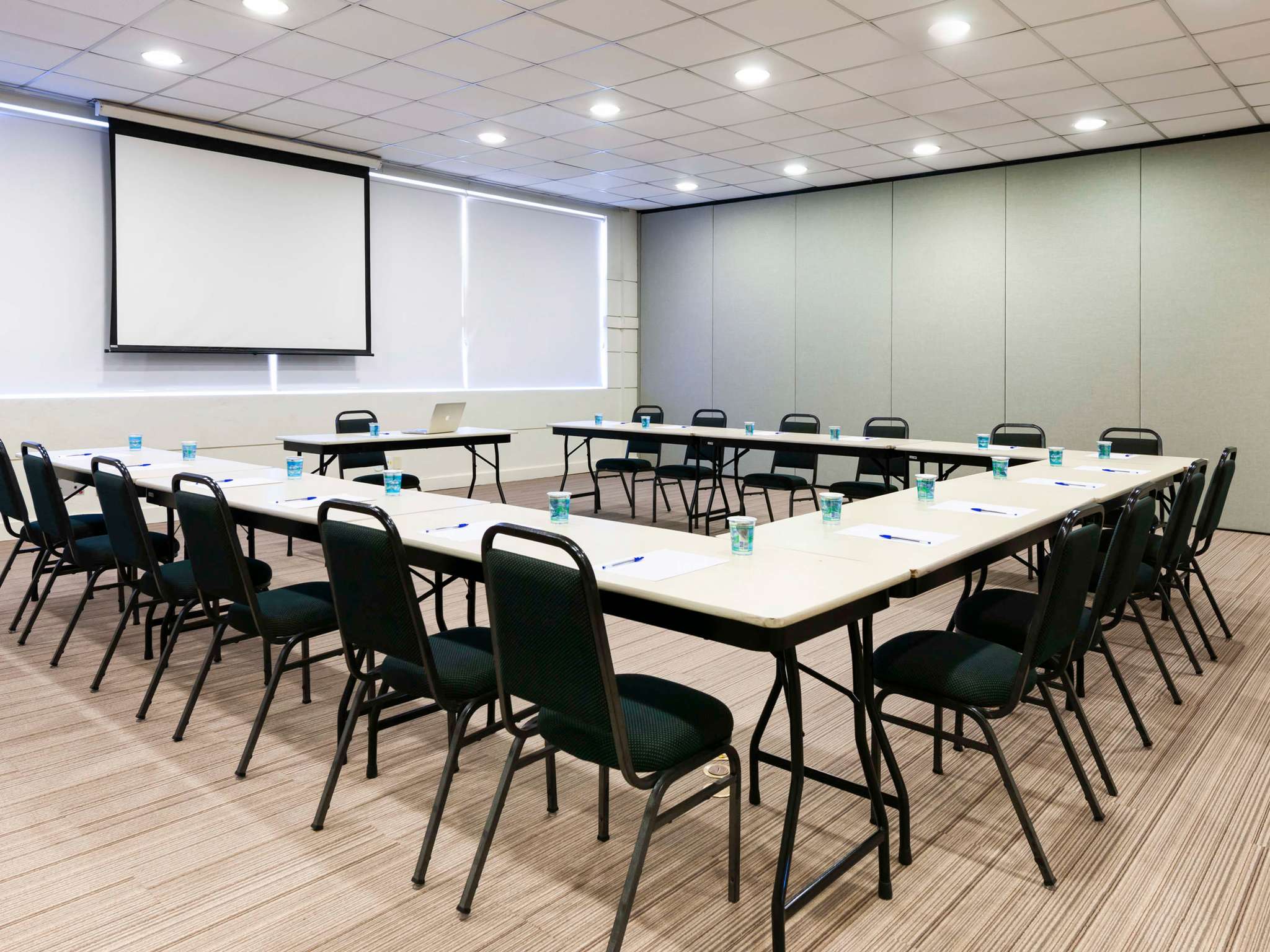 Foto - ibis Paulinia