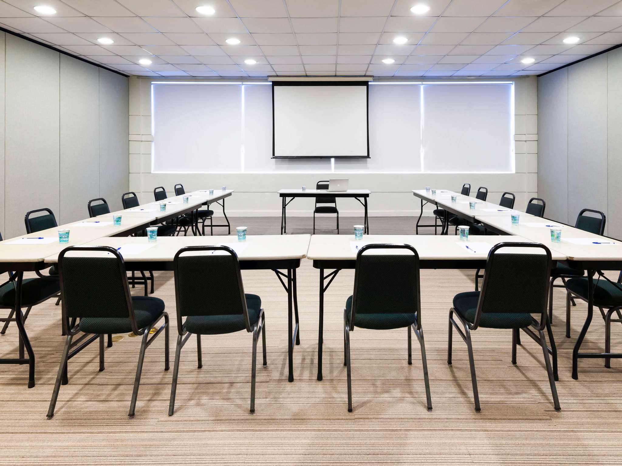 Foto - ibis Paulinia