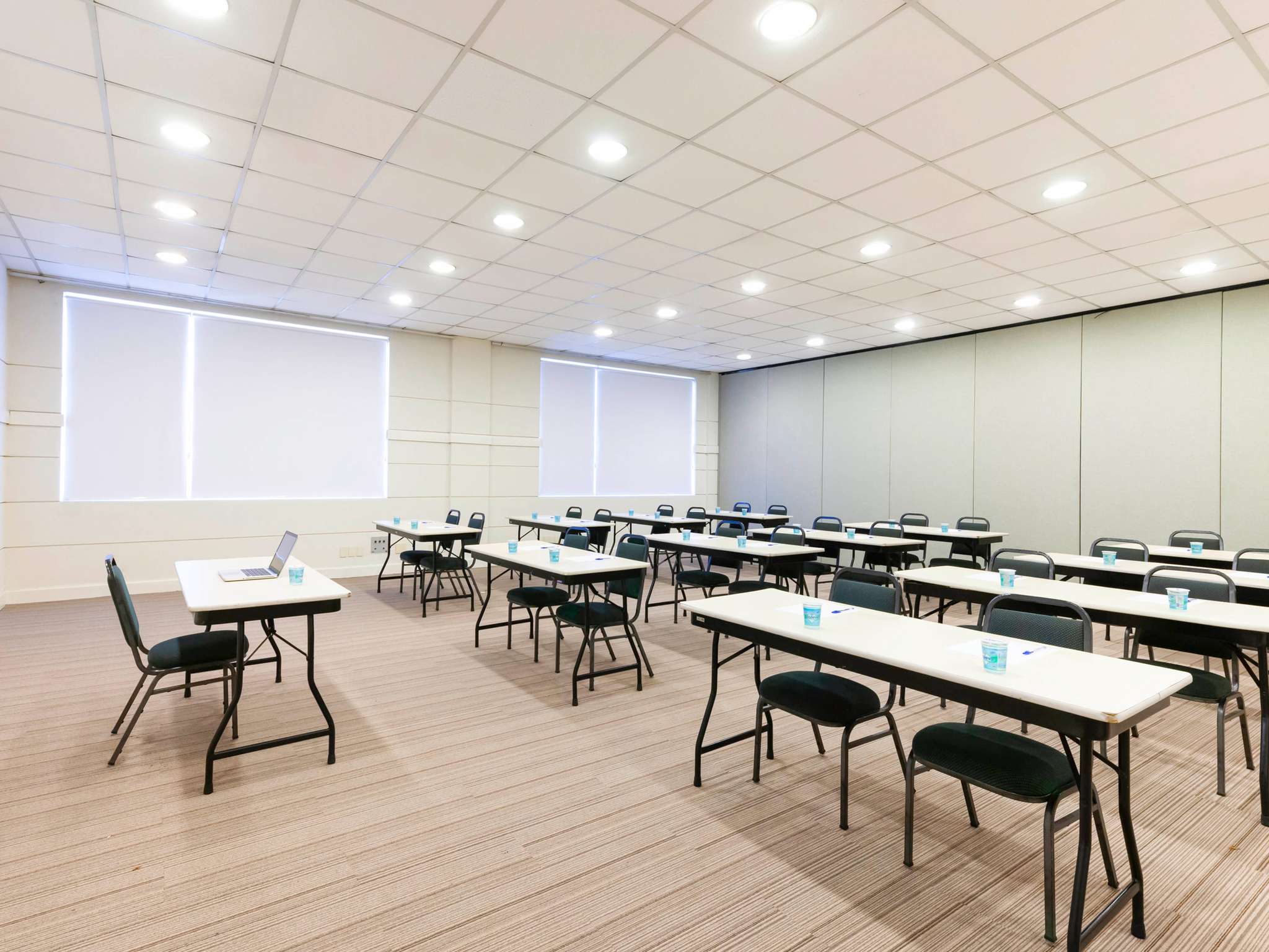 Foto - ibis Paulinia