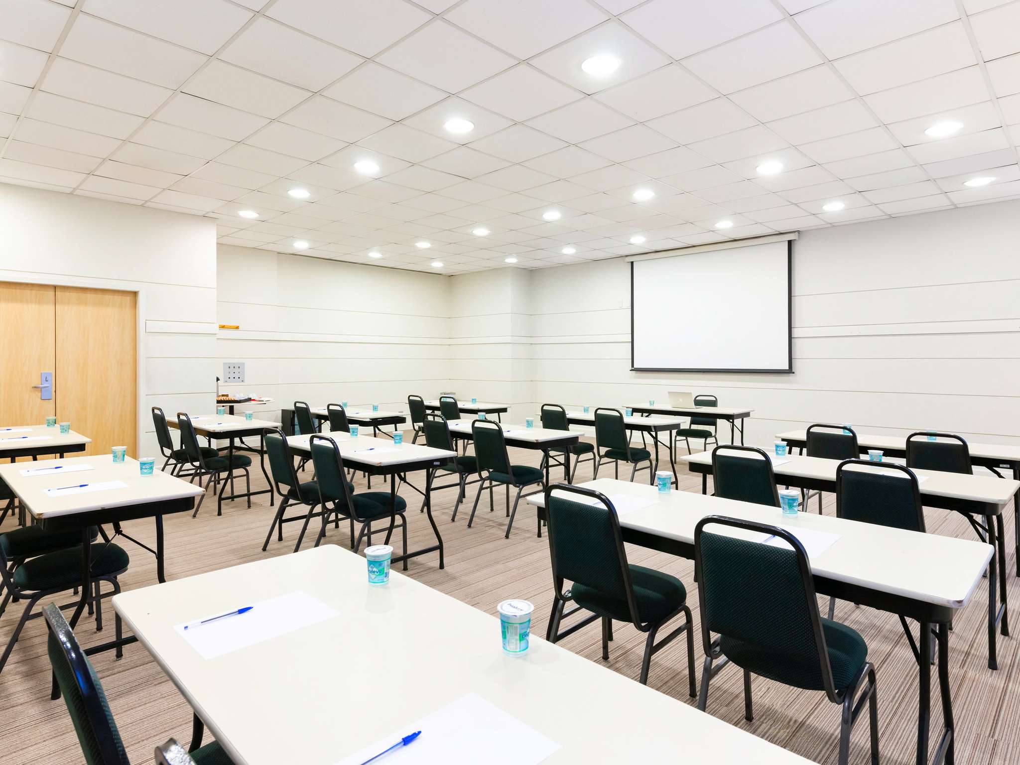 Foto - ibis Paulinia