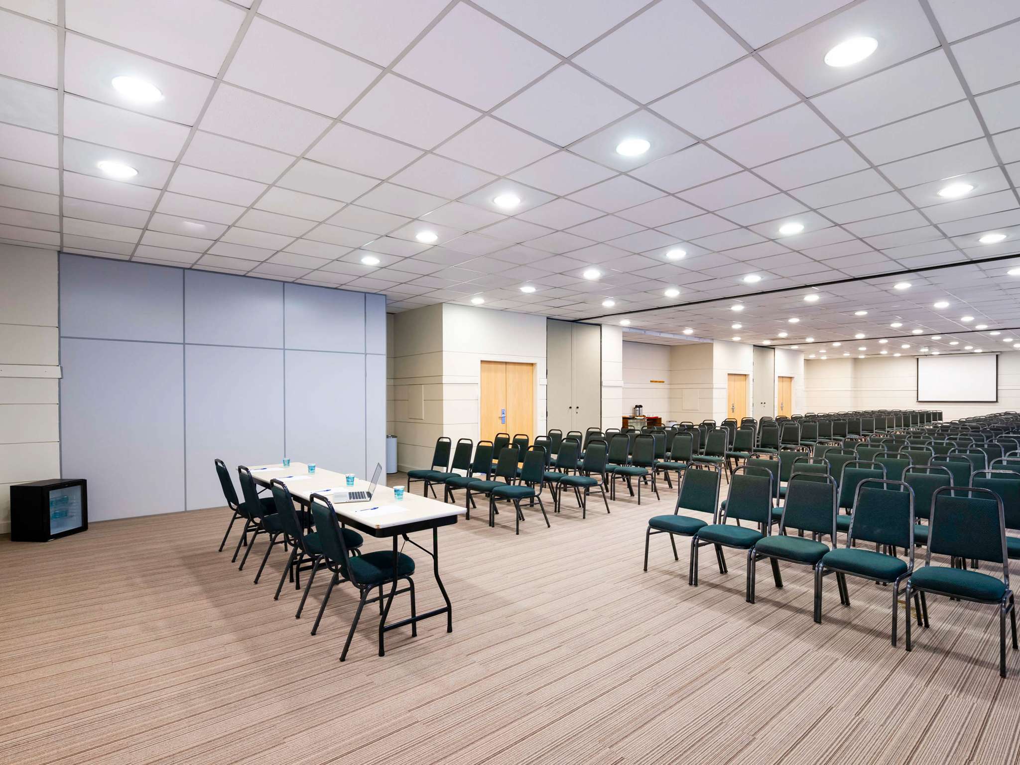 Foto - ibis Paulinia