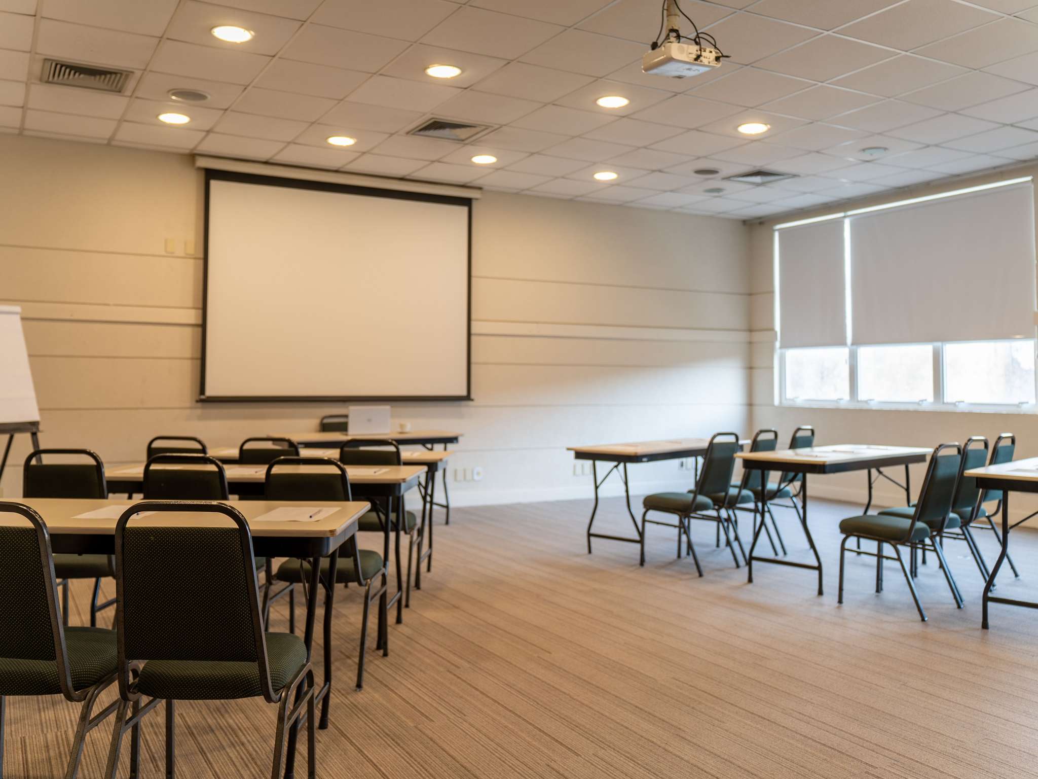 Foto - ibis Paulinia