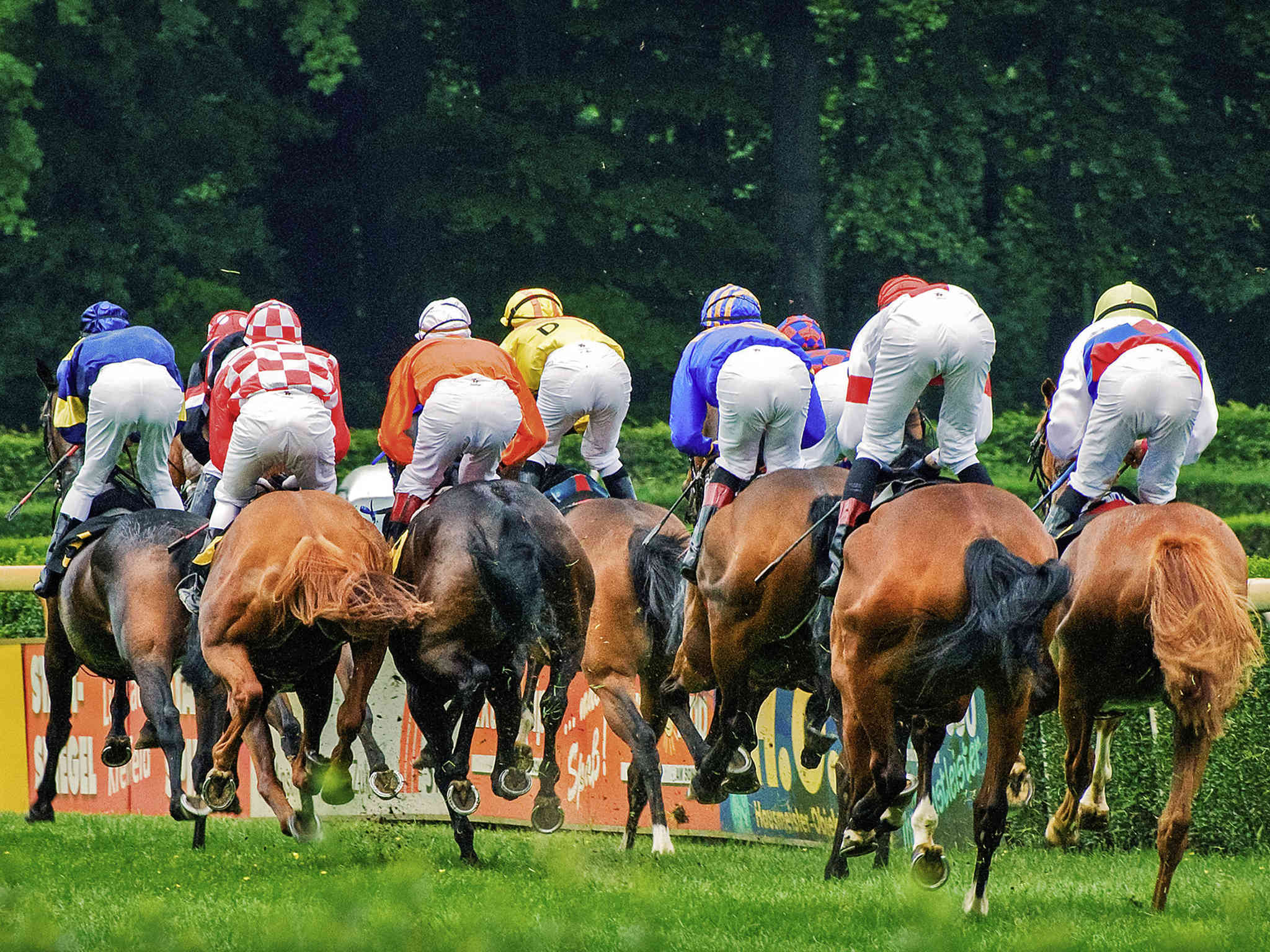 Photo - ibis budget Krefeld Messe-Düsseldorf
