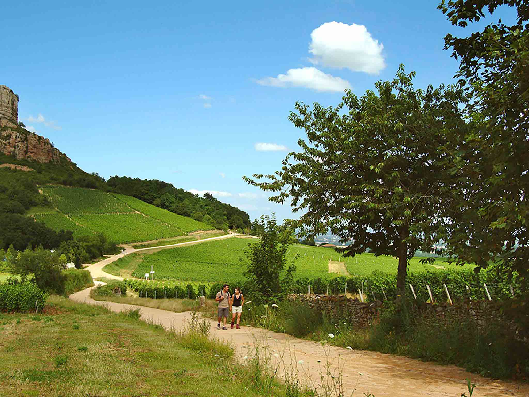 Foto - ibis Budget Mâcon Sud