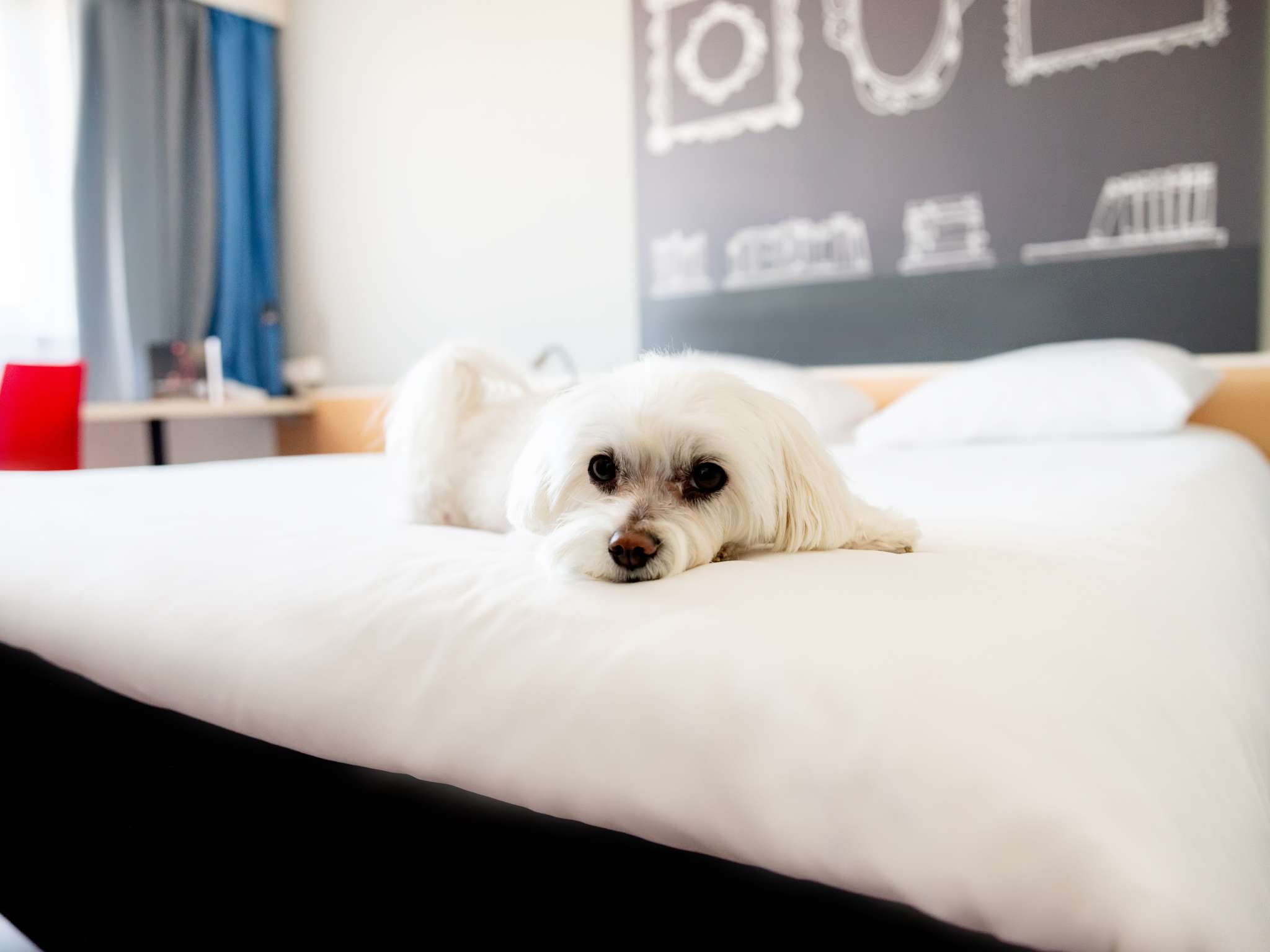 Foto - Ibis Poznan Stare Miasto