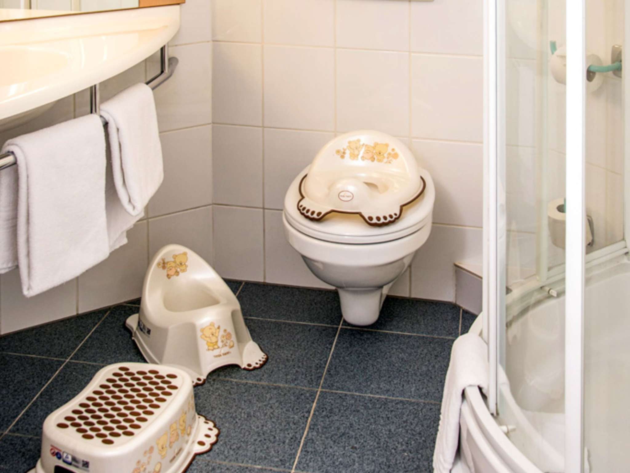 Foto - Ibis Poznan Stare Miasto