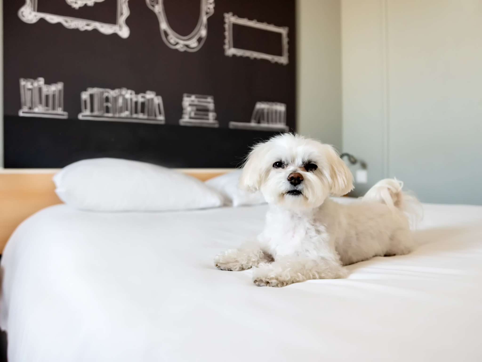 Foto - Ibis Poznan Stare Miasto