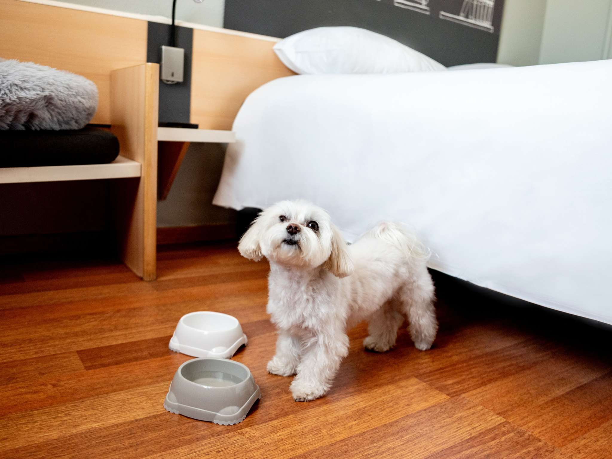 Foto - Ibis Poznan Stare Miasto