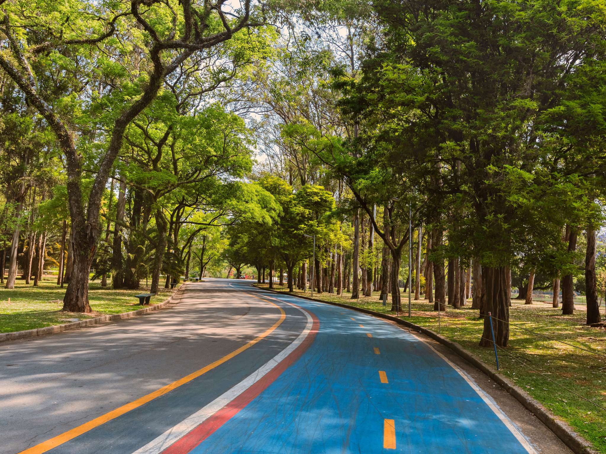 Foto - Mercure São Paulo Ibirapuera Privilege