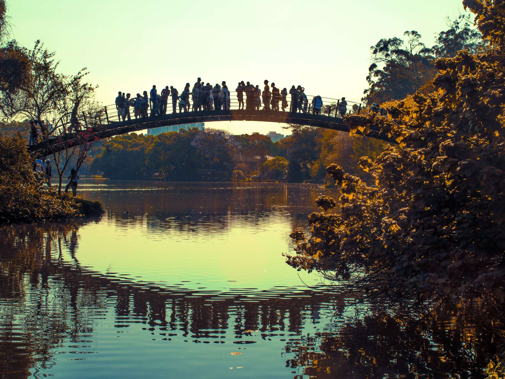 Foto - Mercure São Paulo Ibirapuera Privilege