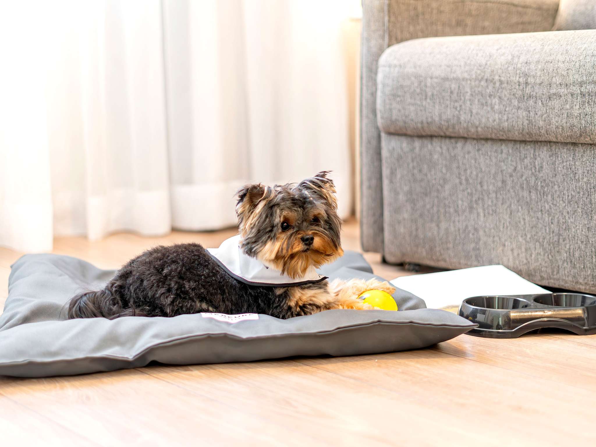 Foto - Mercure São Paulo Ibirapuera Privilege