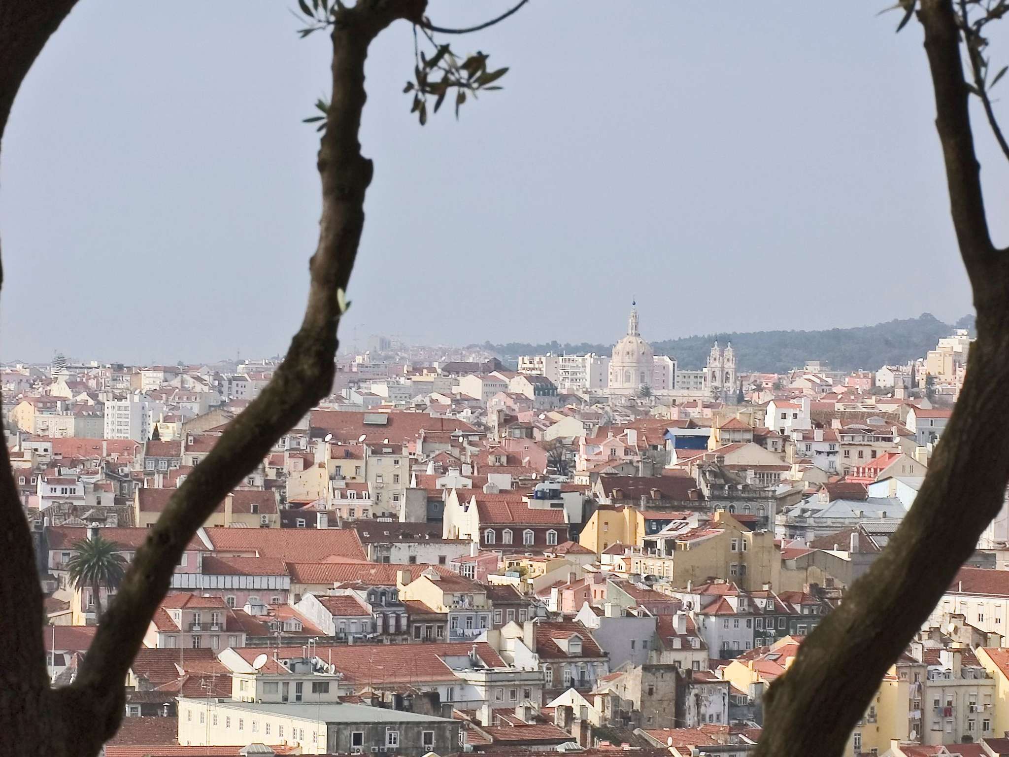 Foto - Hotel ibis Lisboa Liberdade