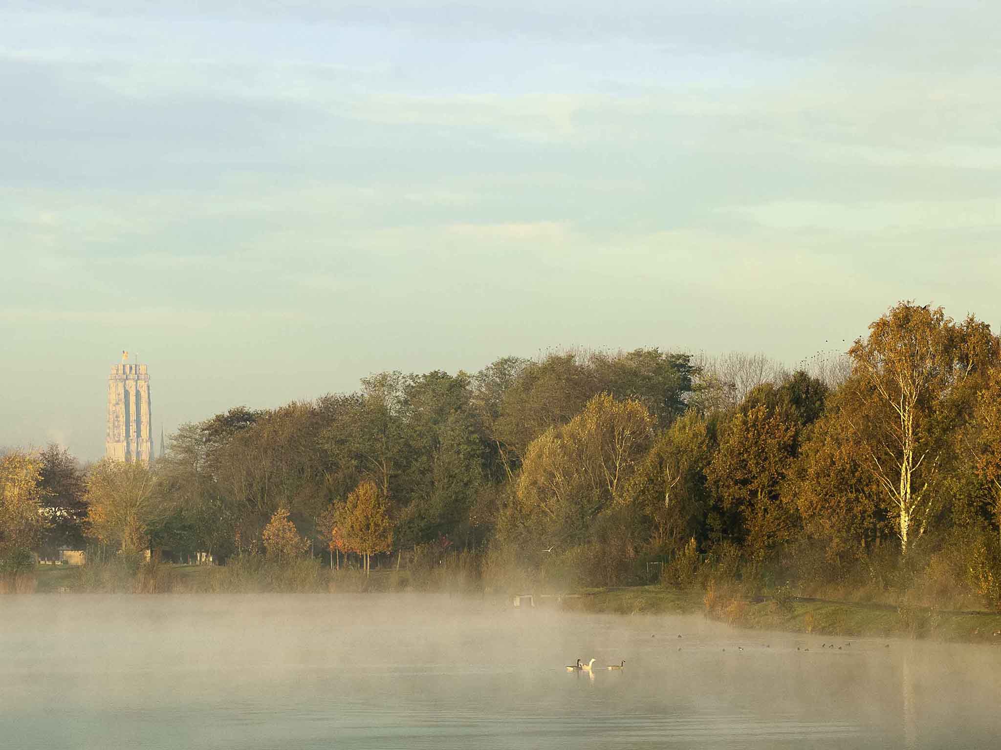 Foto - Novotel Mechelen Centrum